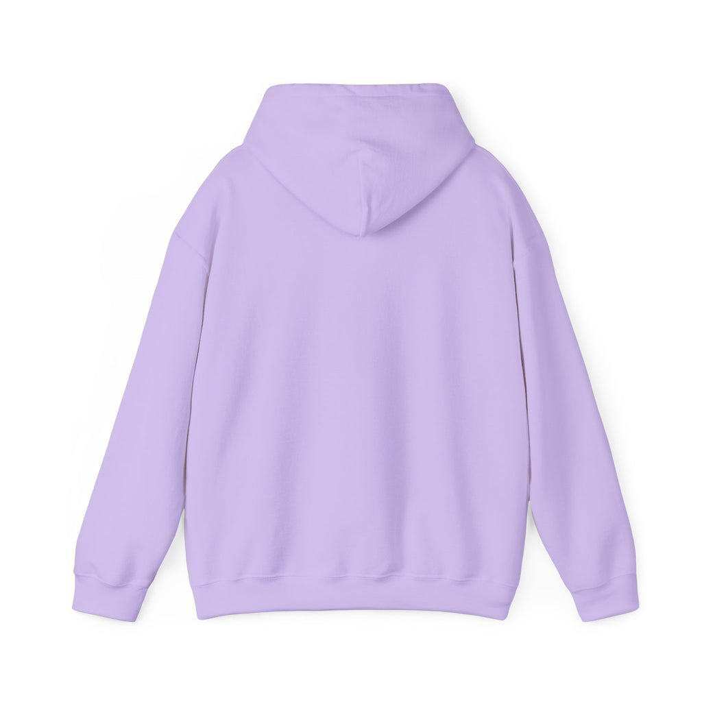 Do Not Disturb Hooded Sweatshirt