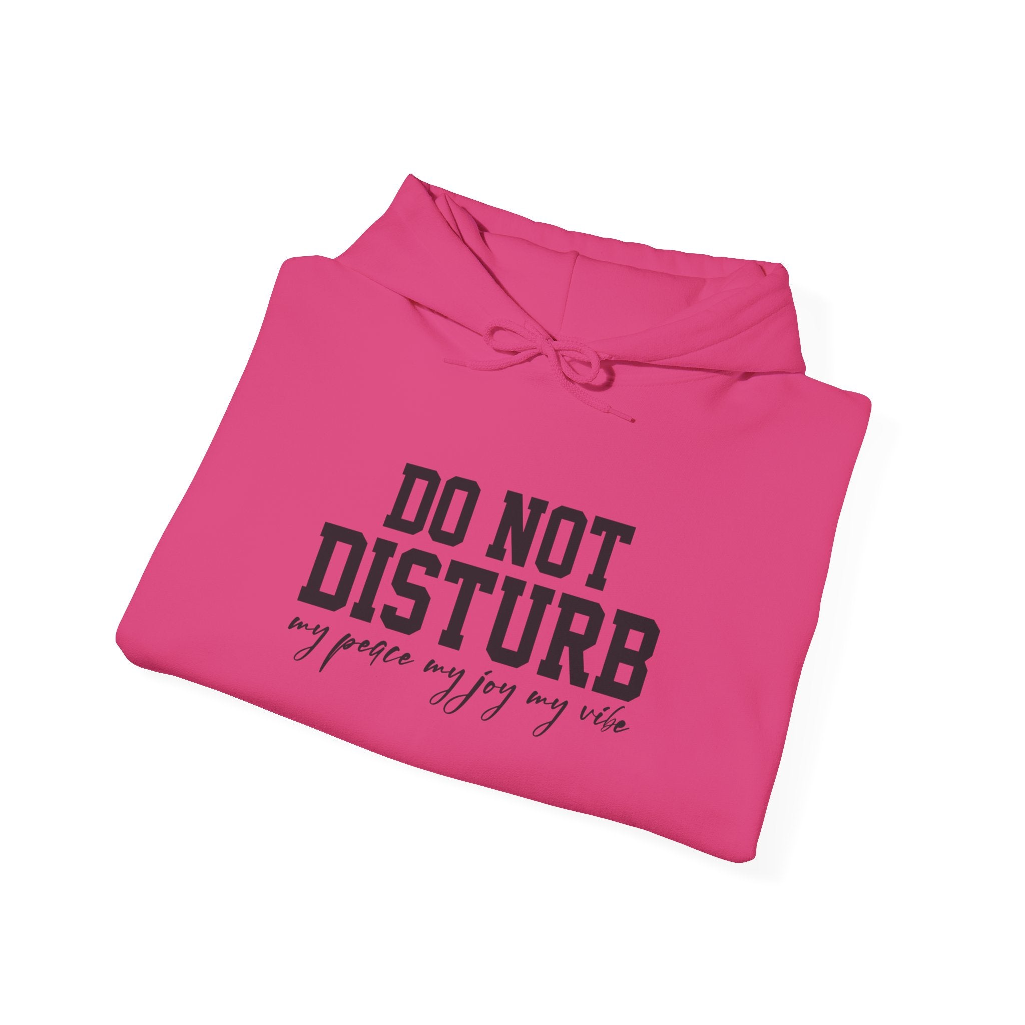 Do Not Disturb Hooded Sweatshirt