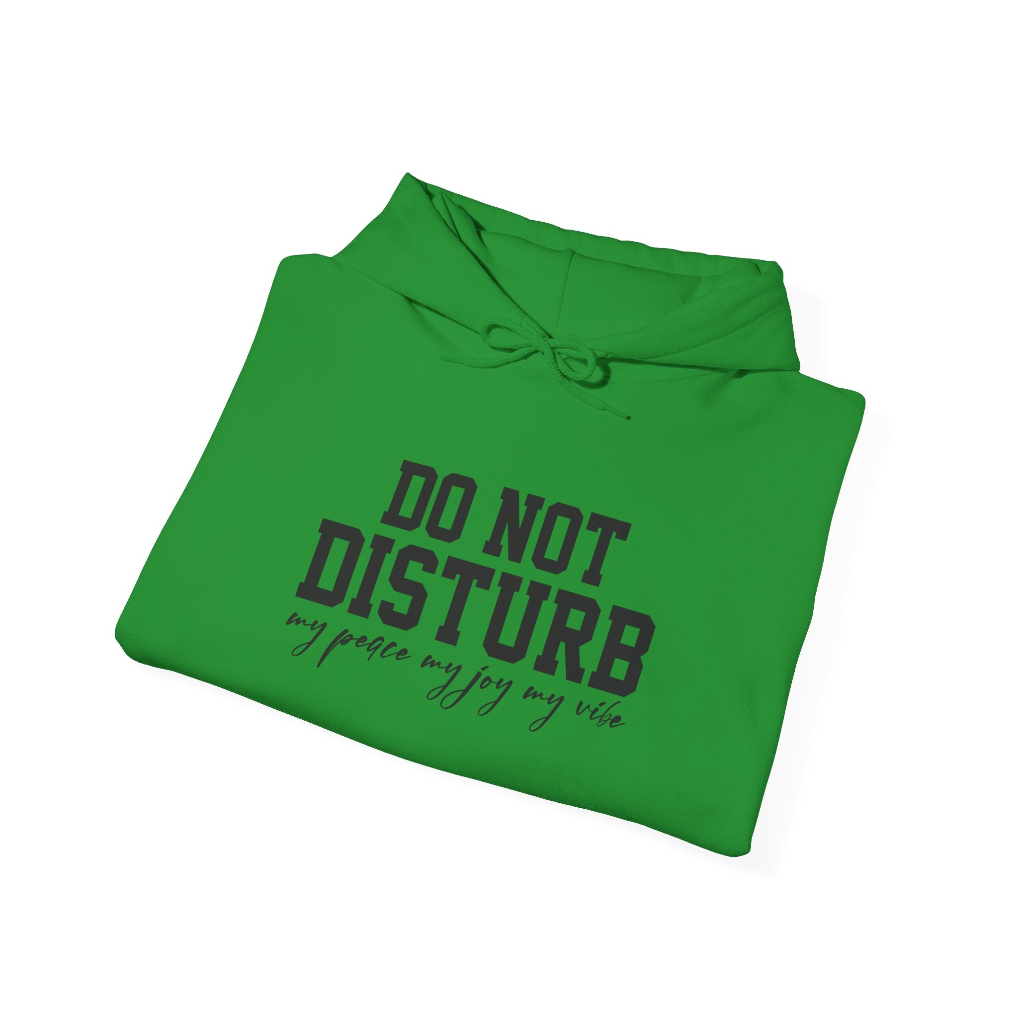 Do Not Disturb Hooded Sweatshirt