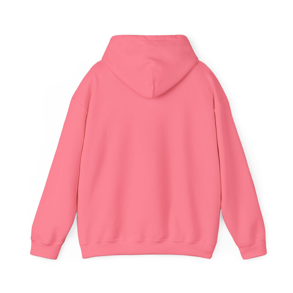 FACTS I don’t care Hooded Sweatshirt