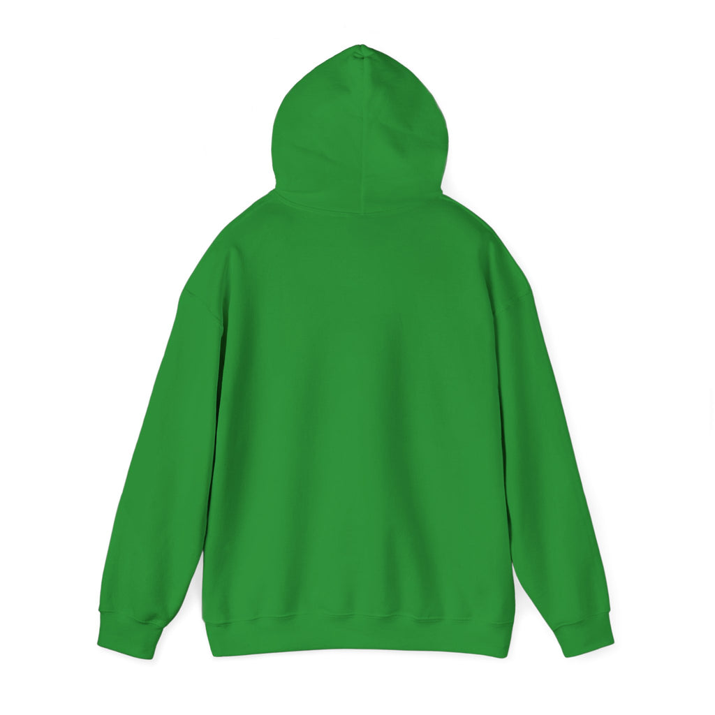 Do Not Disturb Hooded Sweatshirt