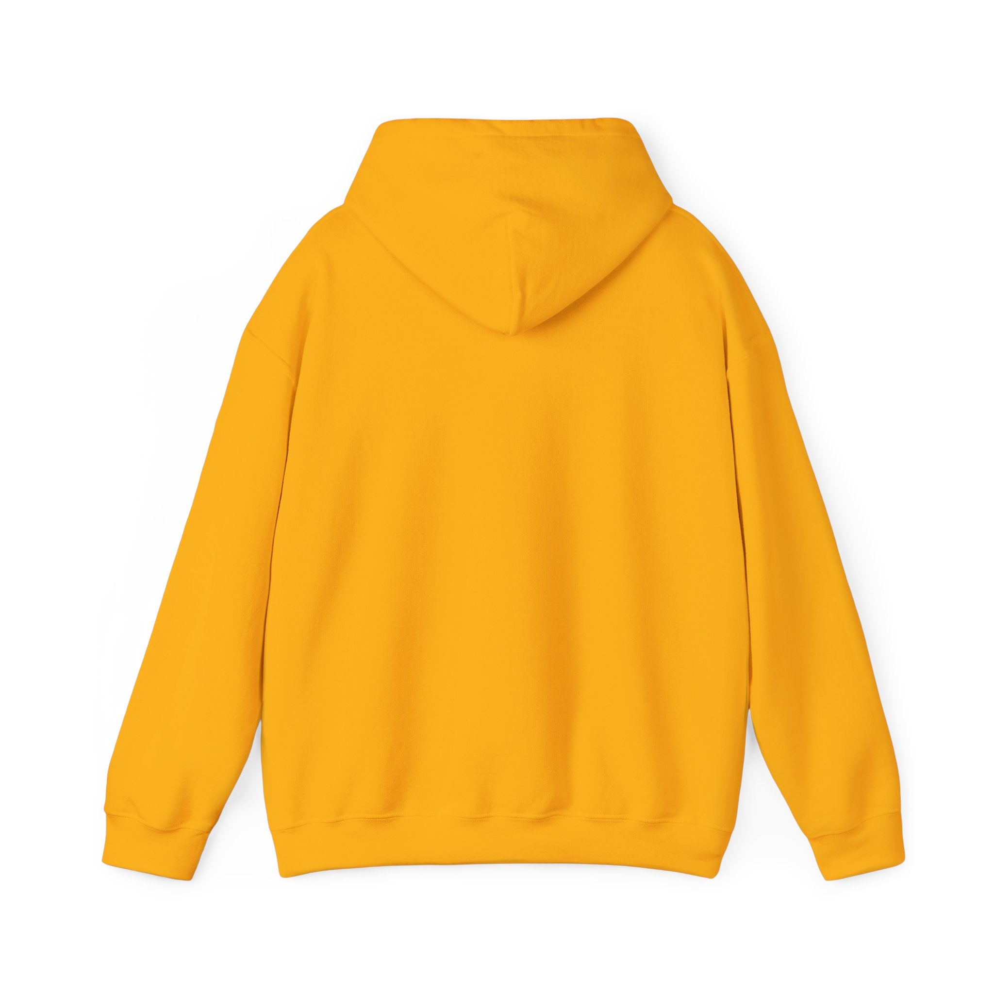 Do Not Disturb Hooded Sweatshirt