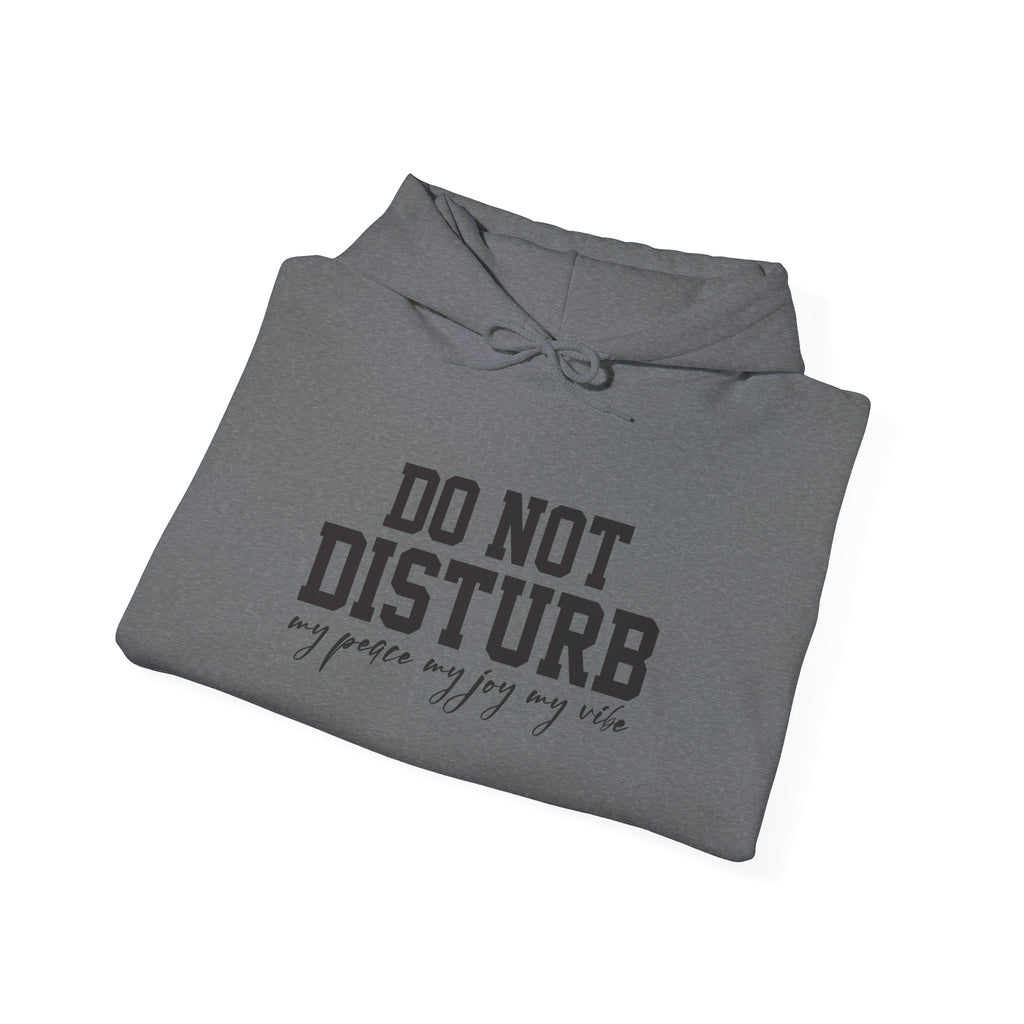 Do Not Disturb Hooded Sweatshirt
