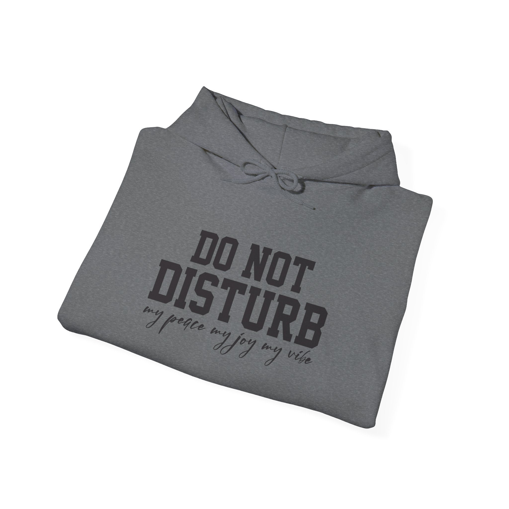 Do Not Disturb Hooded Sweatshirt
