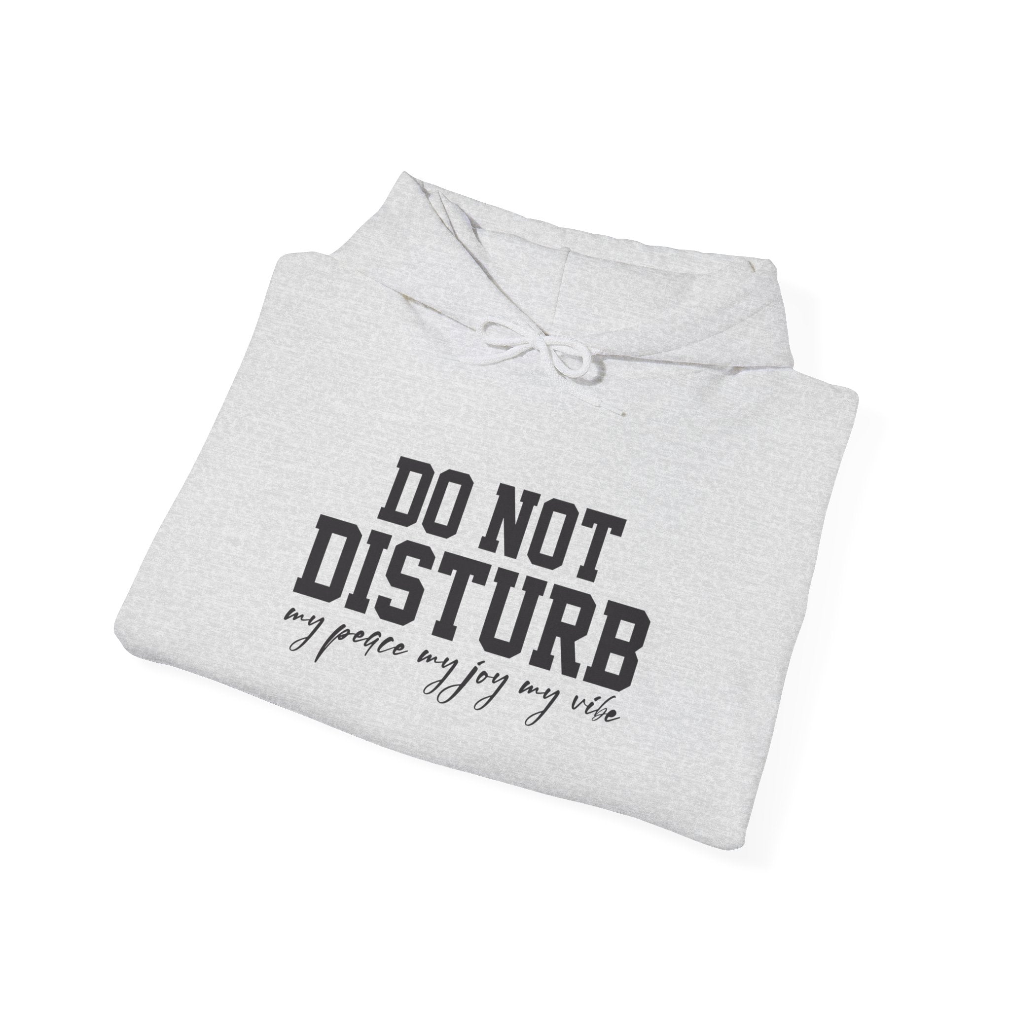 Do Not Disturb Hooded Sweatshirt