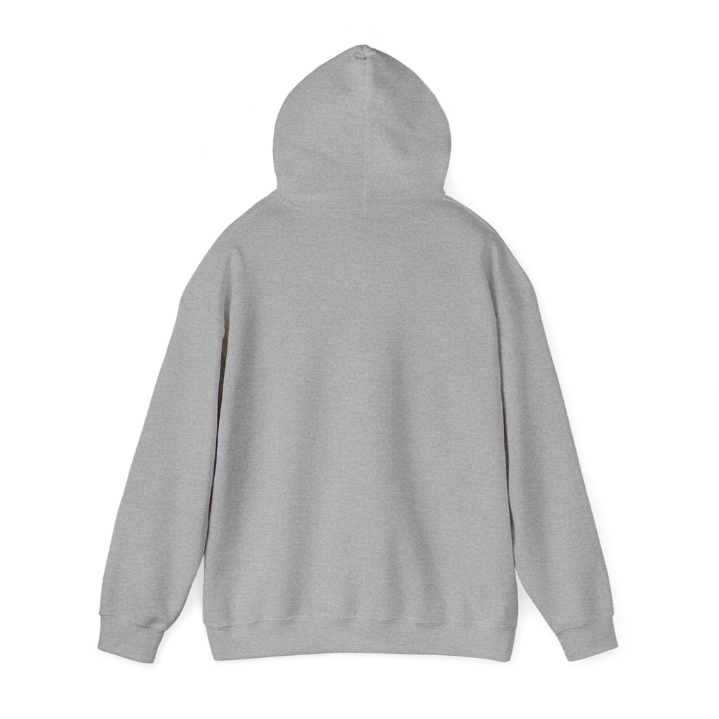 FACTS I don’t care Hooded Sweatshirt