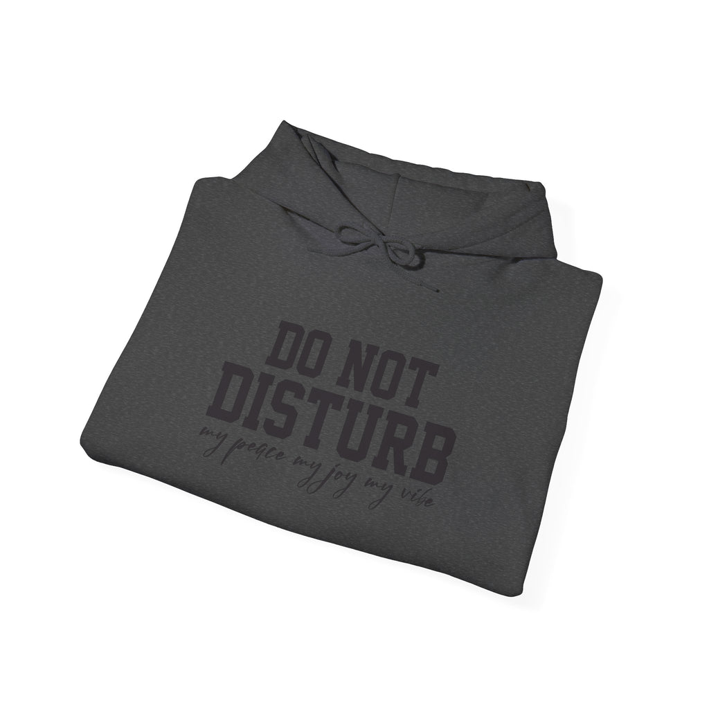 Do Not Disturb Hooded Sweatshirt