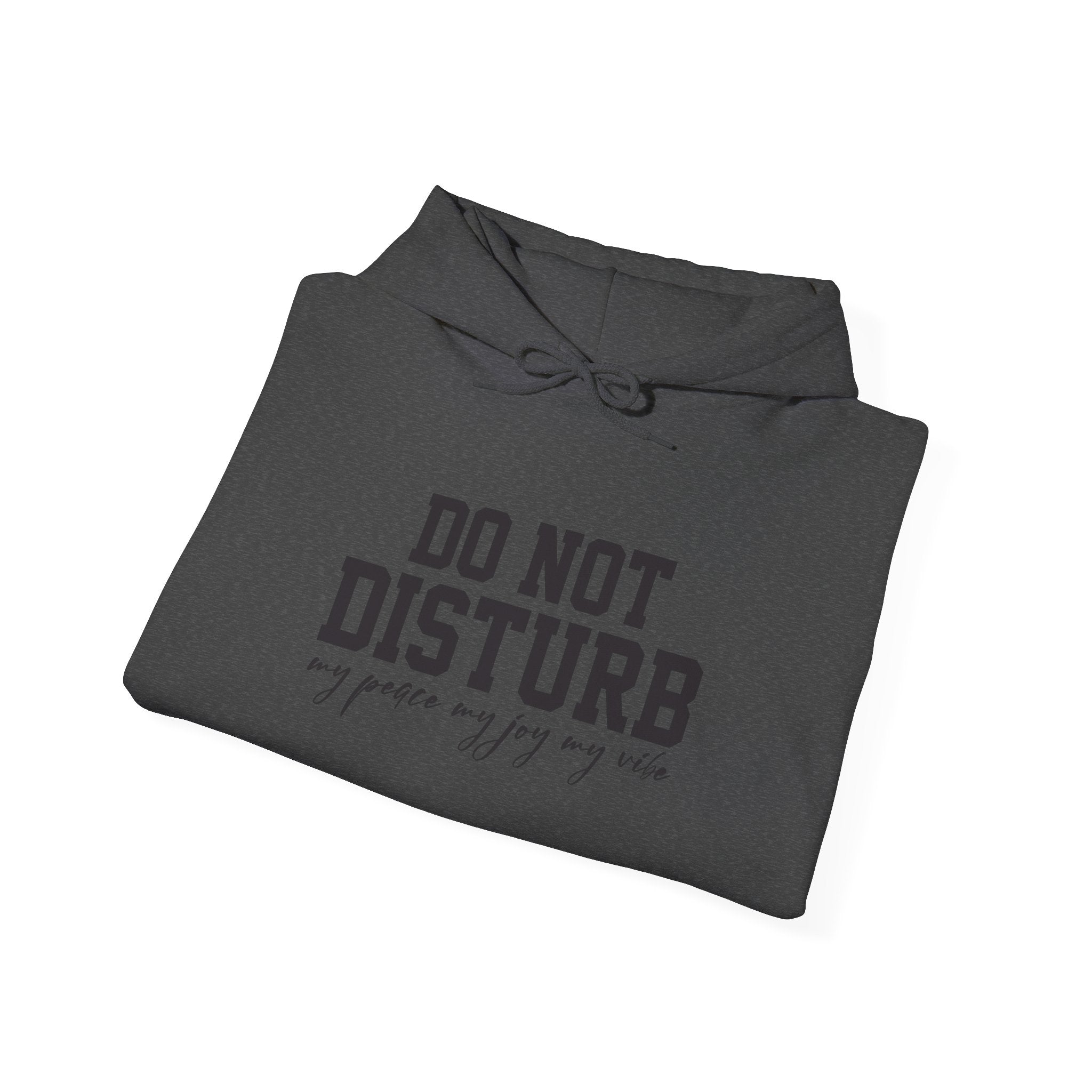 Do Not Disturb Hooded Sweatshirt