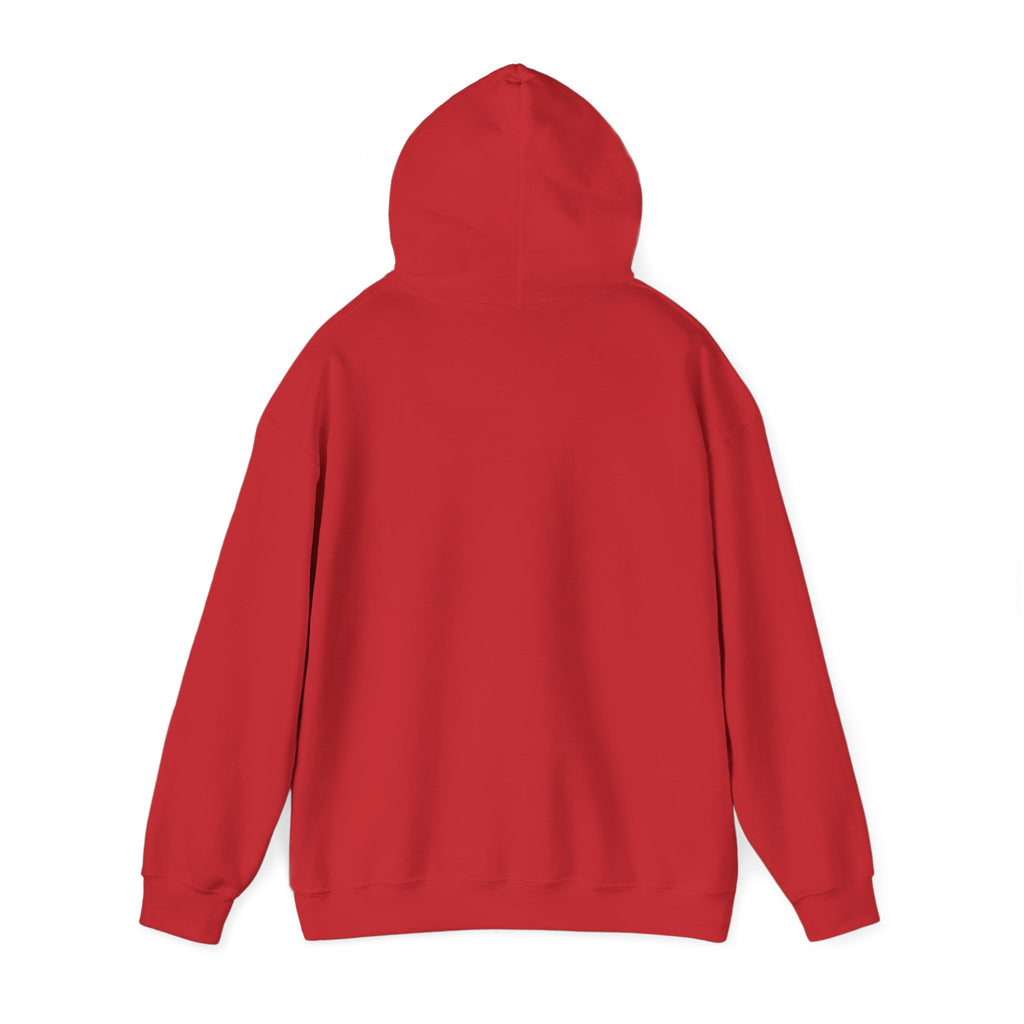 Do Not Disturb Hooded Sweatshirt