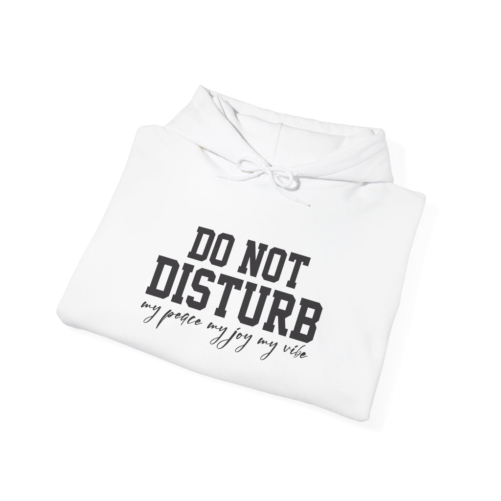 Do Not Disturb Hooded Sweatshirt