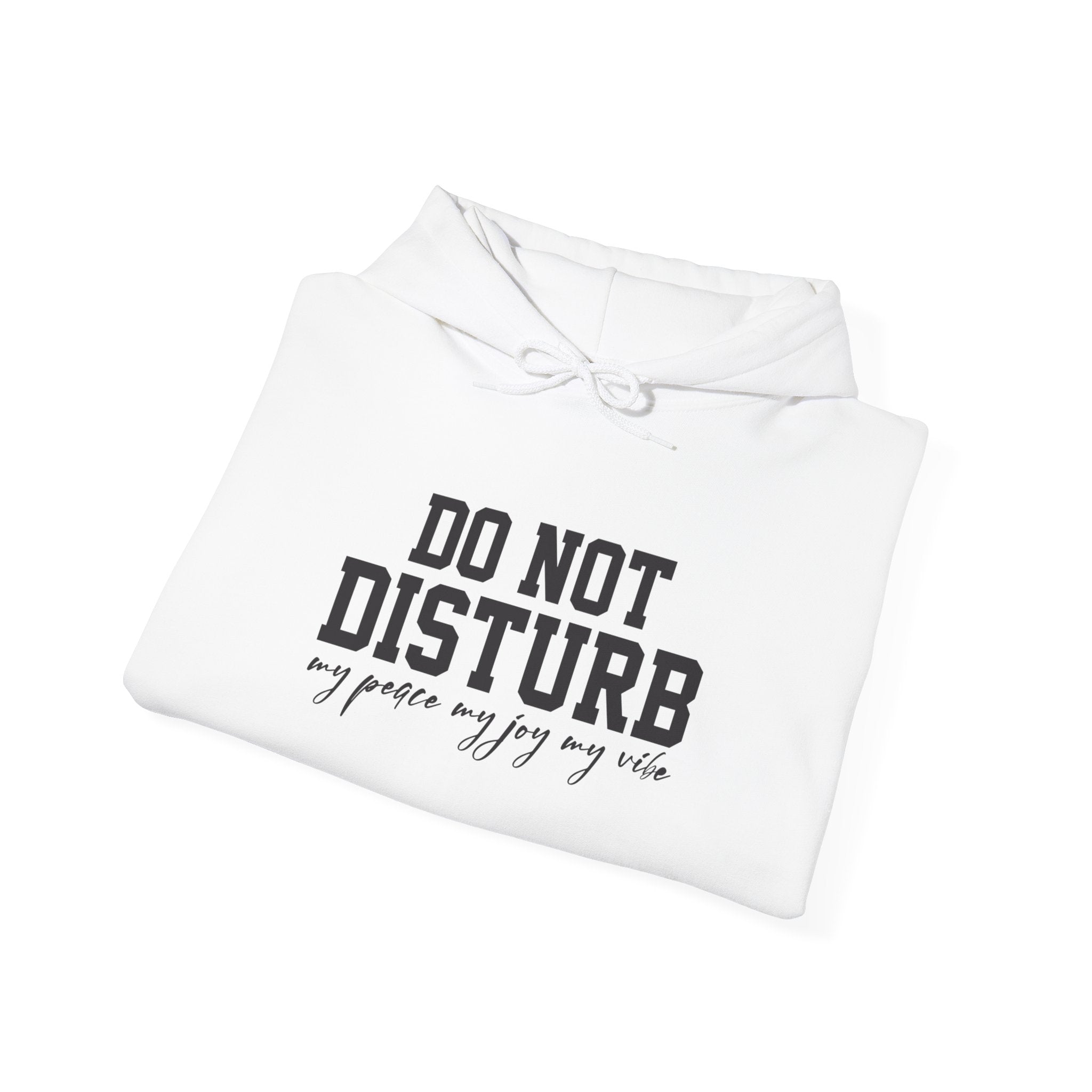 Do Not Disturb Hooded Sweatshirt