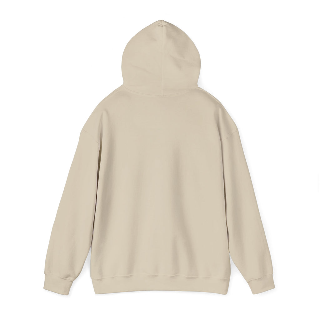 Do Not Disturb Hooded Sweatshirt