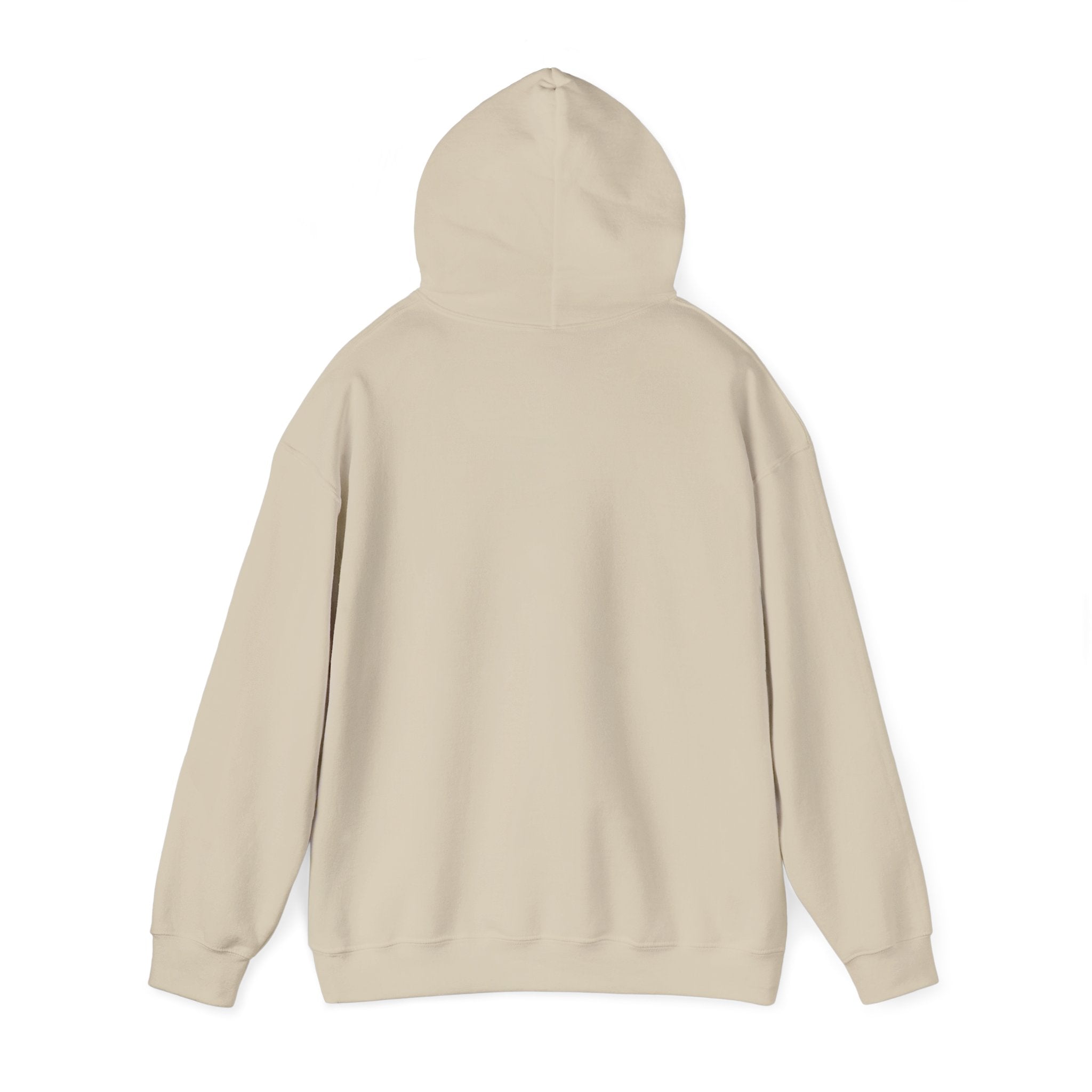 Do Not Disturb Hooded Sweatshirt