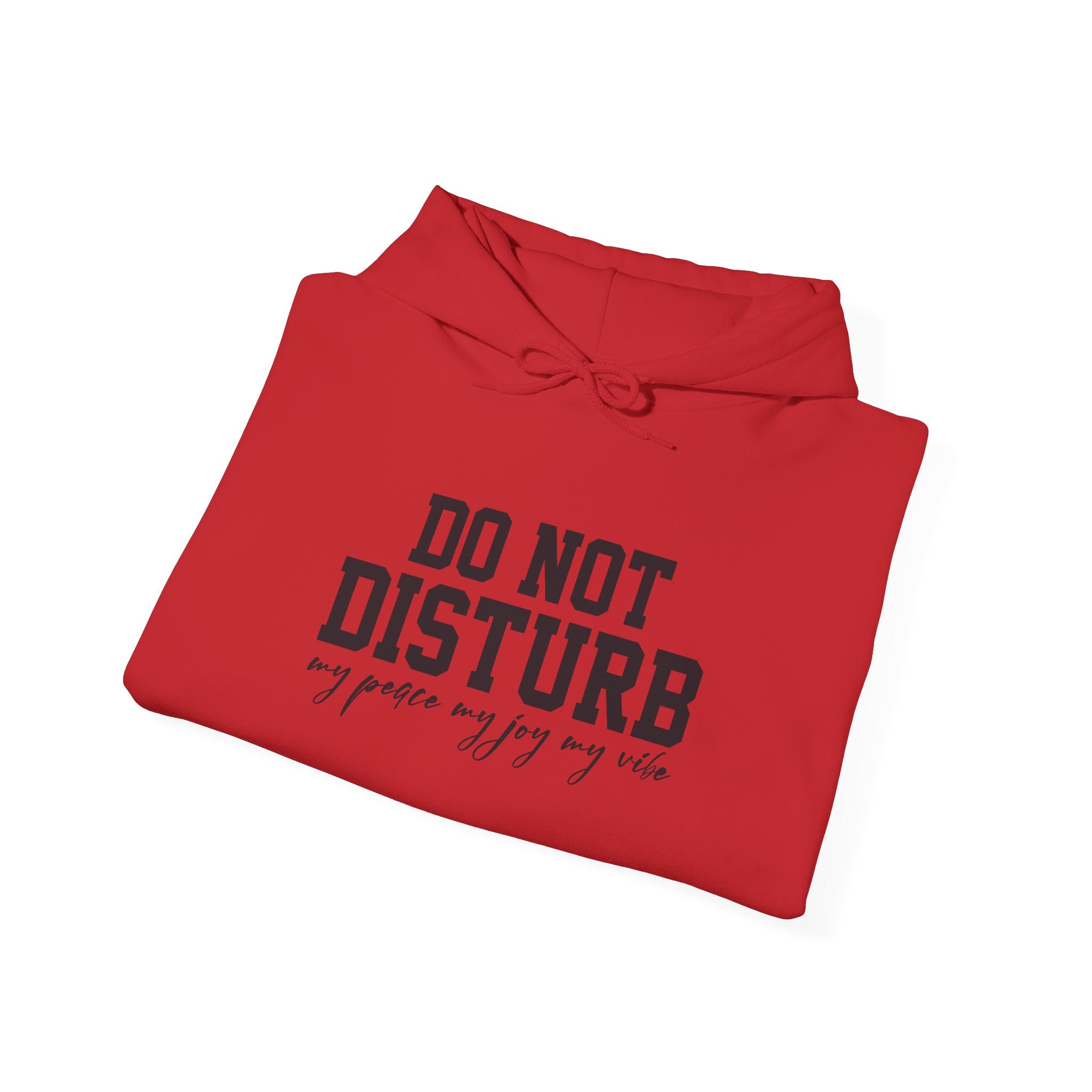 Do Not Disturb Hooded Sweatshirt