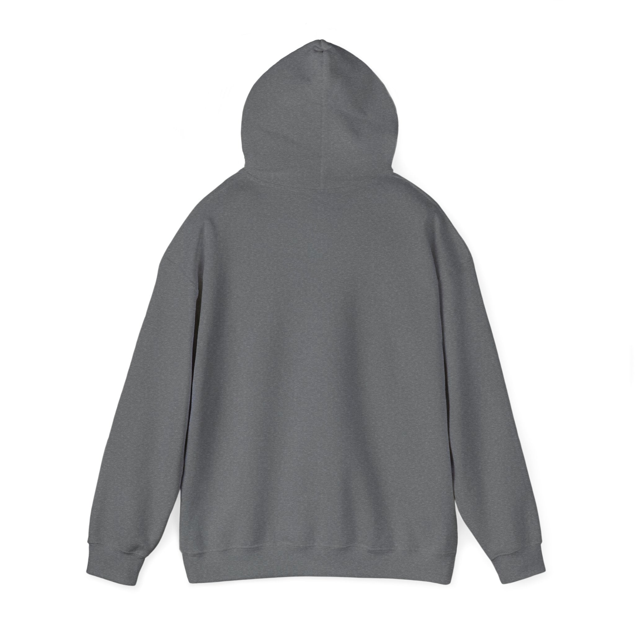 Do Not Disturb Hooded Sweatshirt