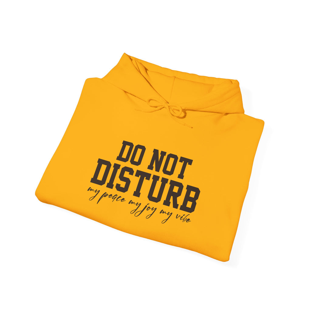 Do Not Disturb Hooded Sweatshirt