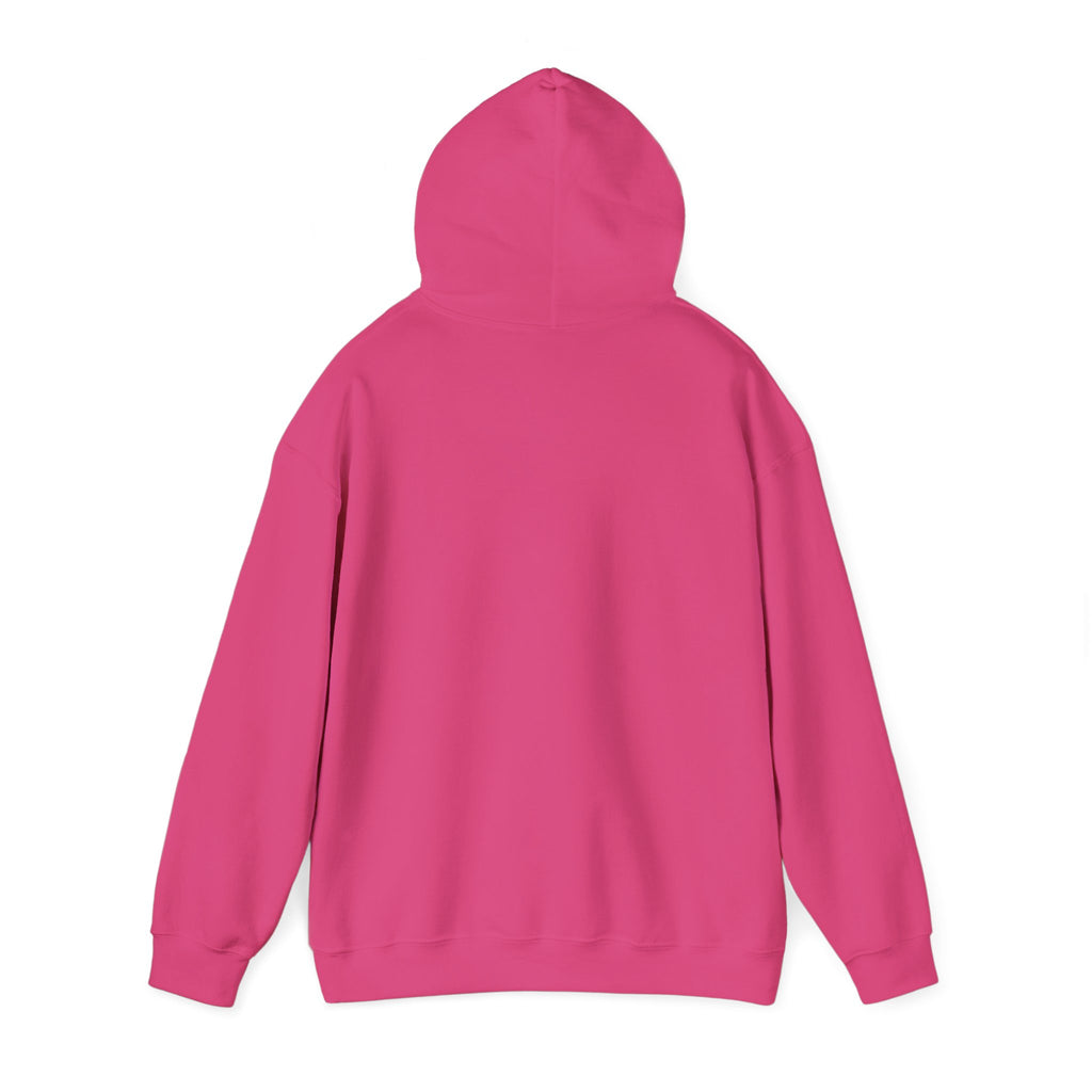 Do Not Disturb Hooded Sweatshirt