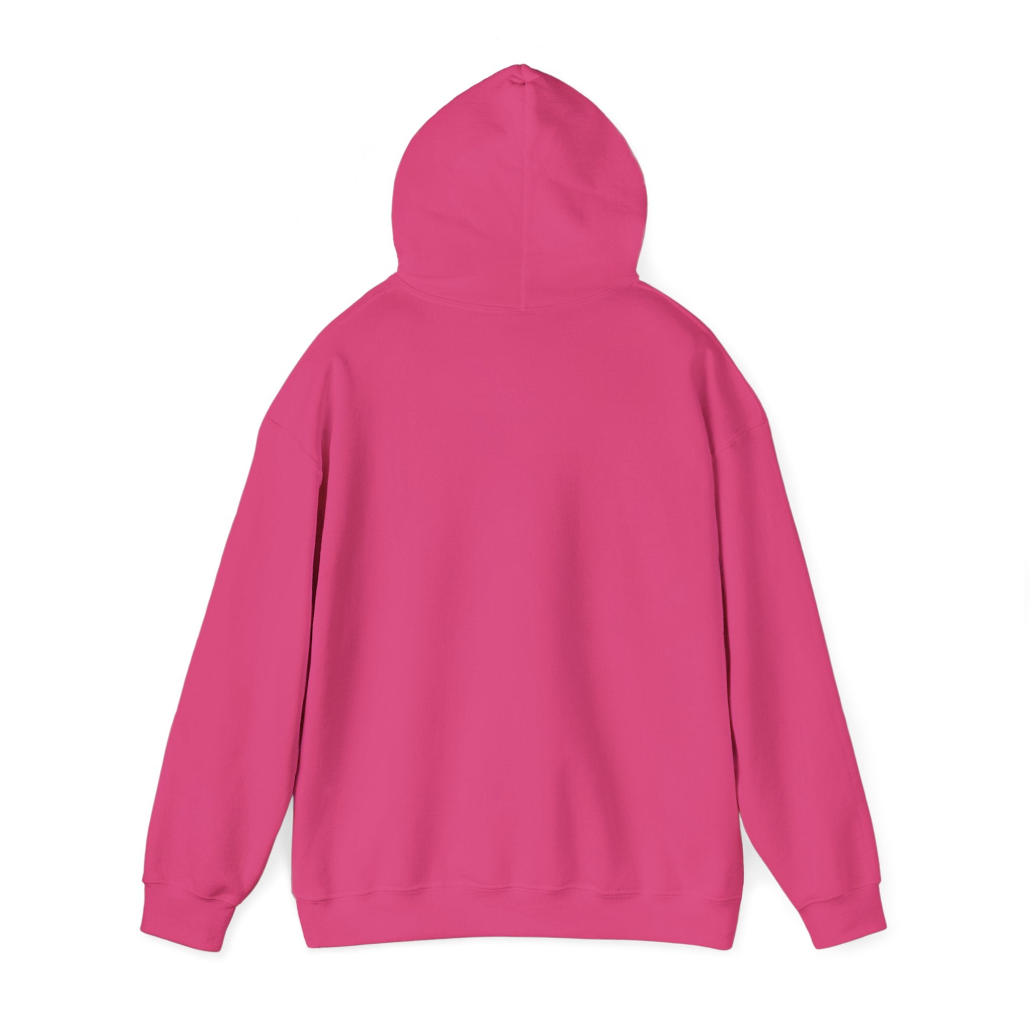 Do Not Disturb Hooded Sweatshirt