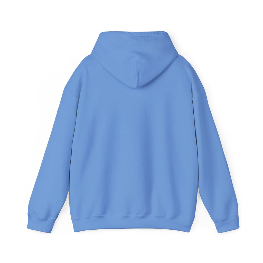 FACTS I don’t care Hooded Sweatshirt