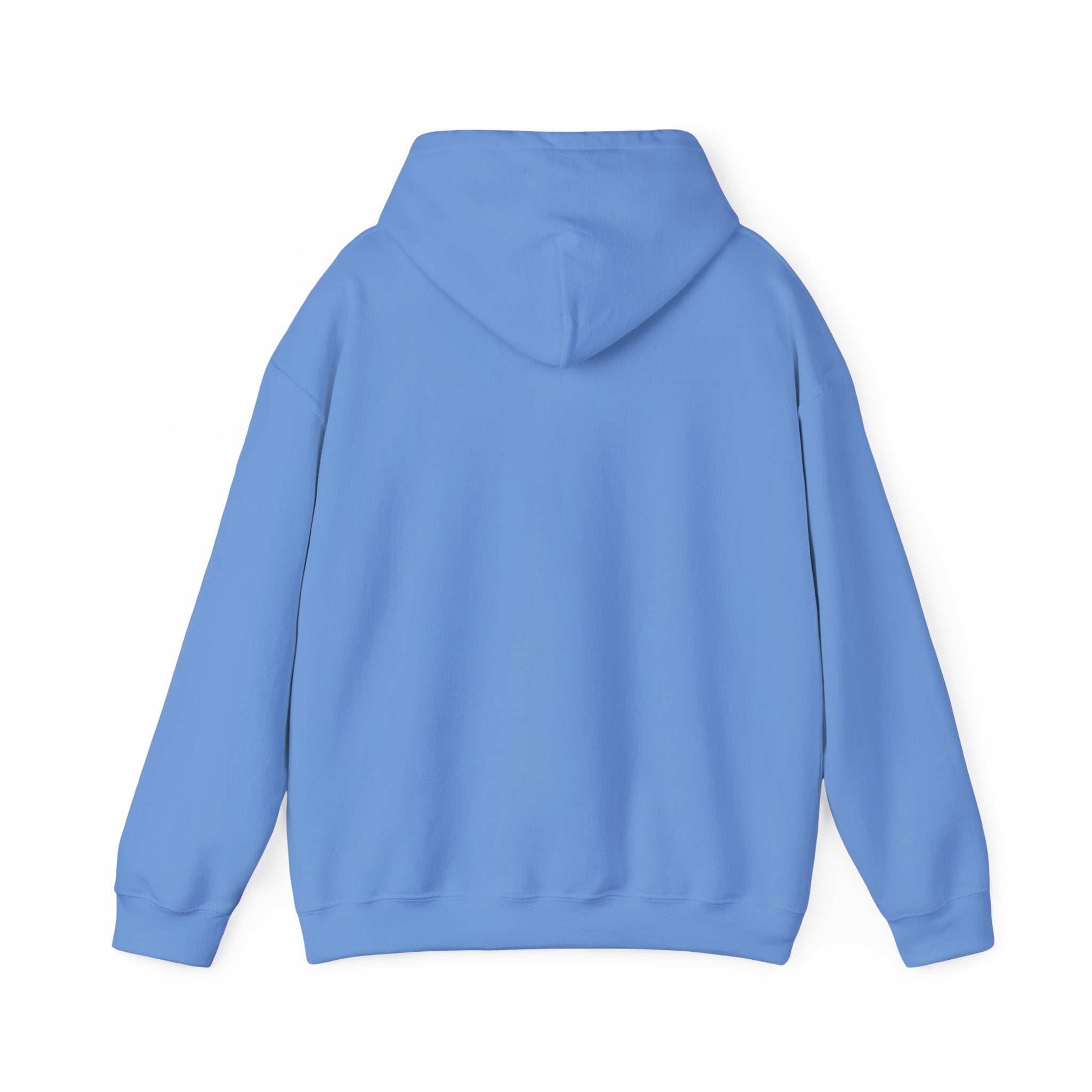 FACTS I don’t care Hooded Sweatshirt