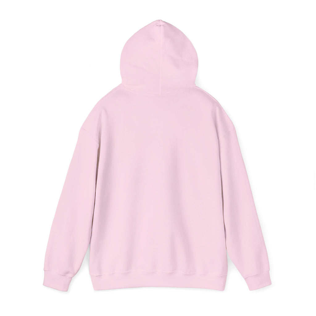 FACTS I don’t care Hooded Sweatshirt
