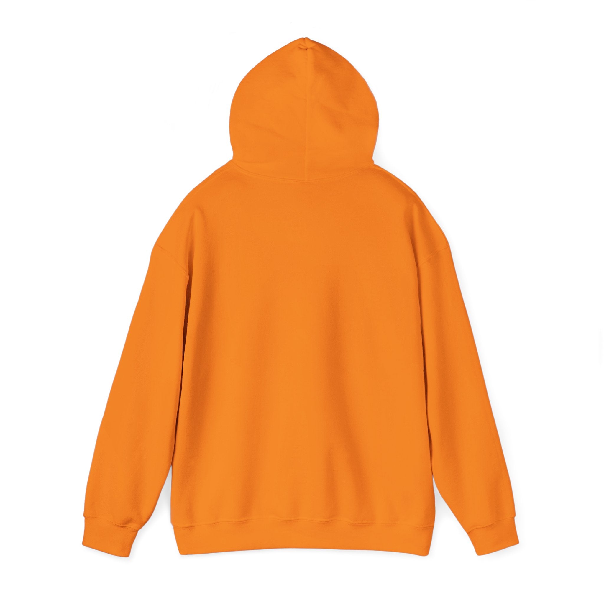 FACTS I don’t care Hooded Sweatshirt