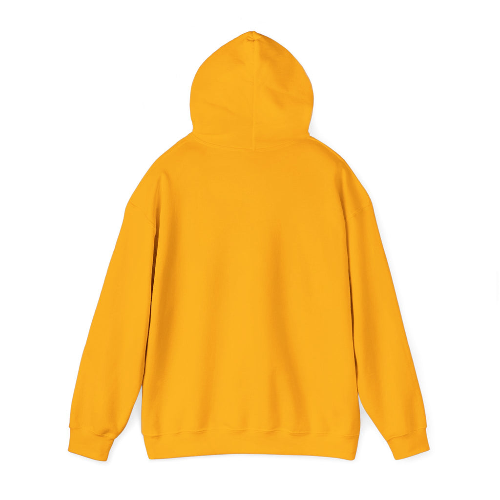 Do Not Disturb Hooded Sweatshirt