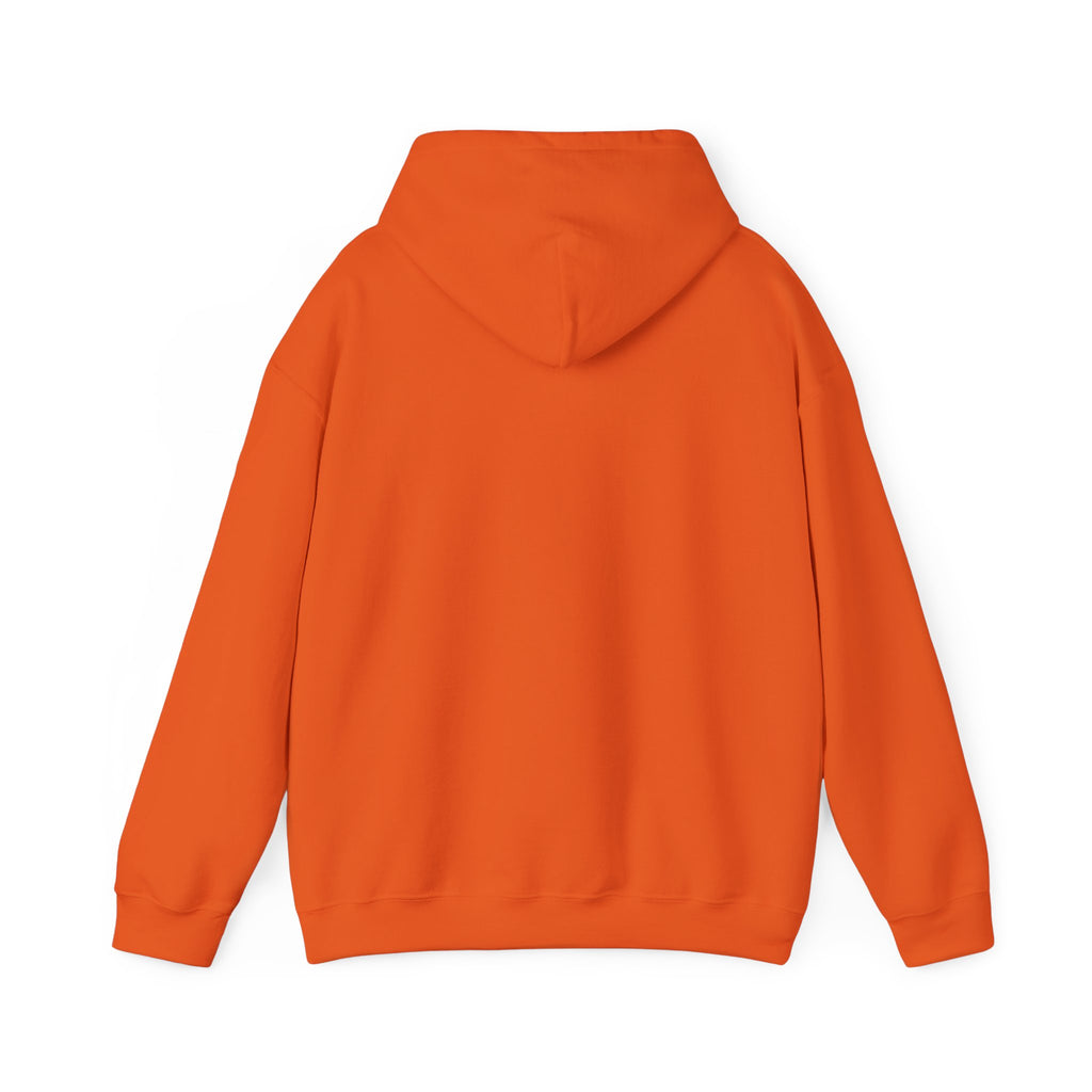 Do Not Disturb Hooded Sweatshirt