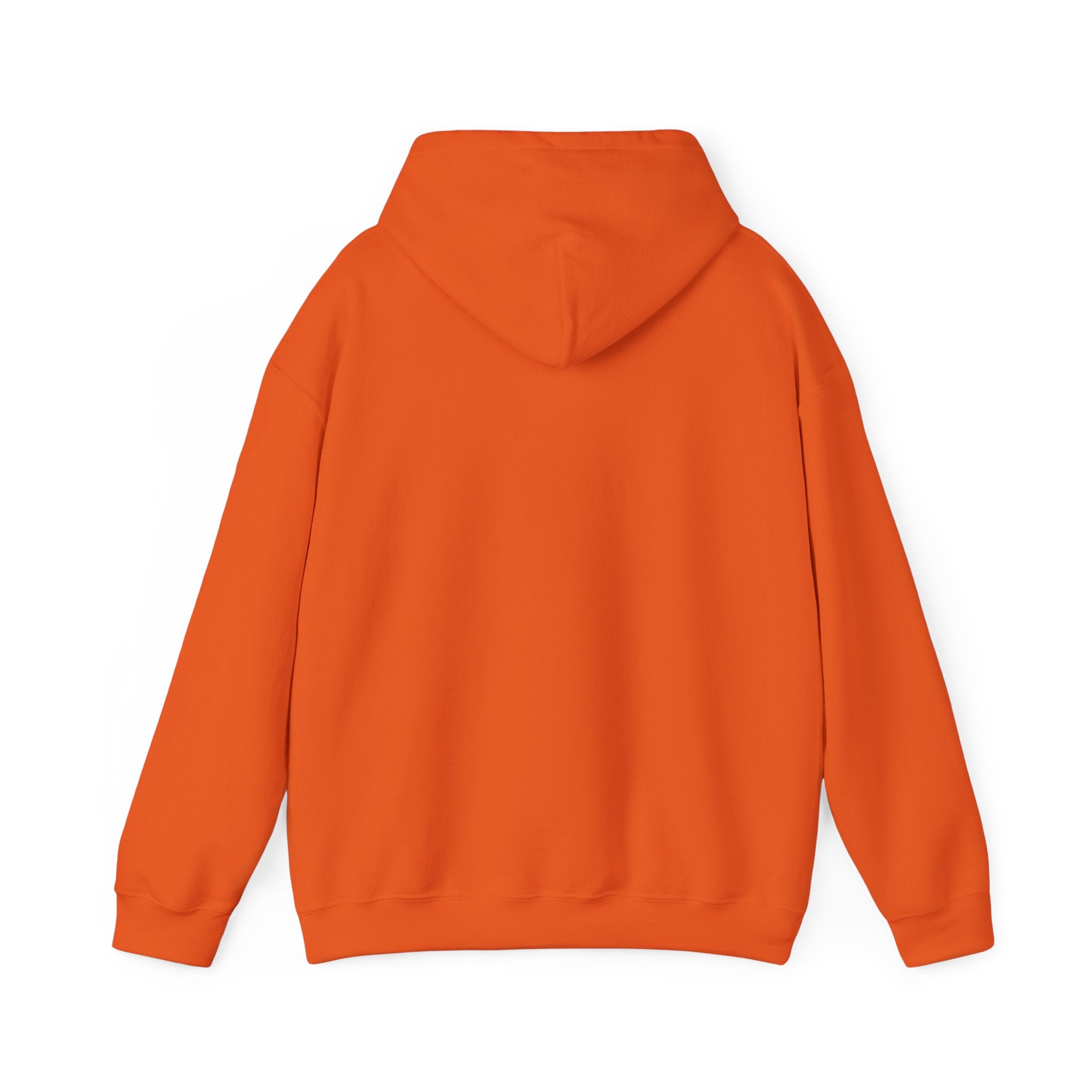 Do Not Disturb Hooded Sweatshirt