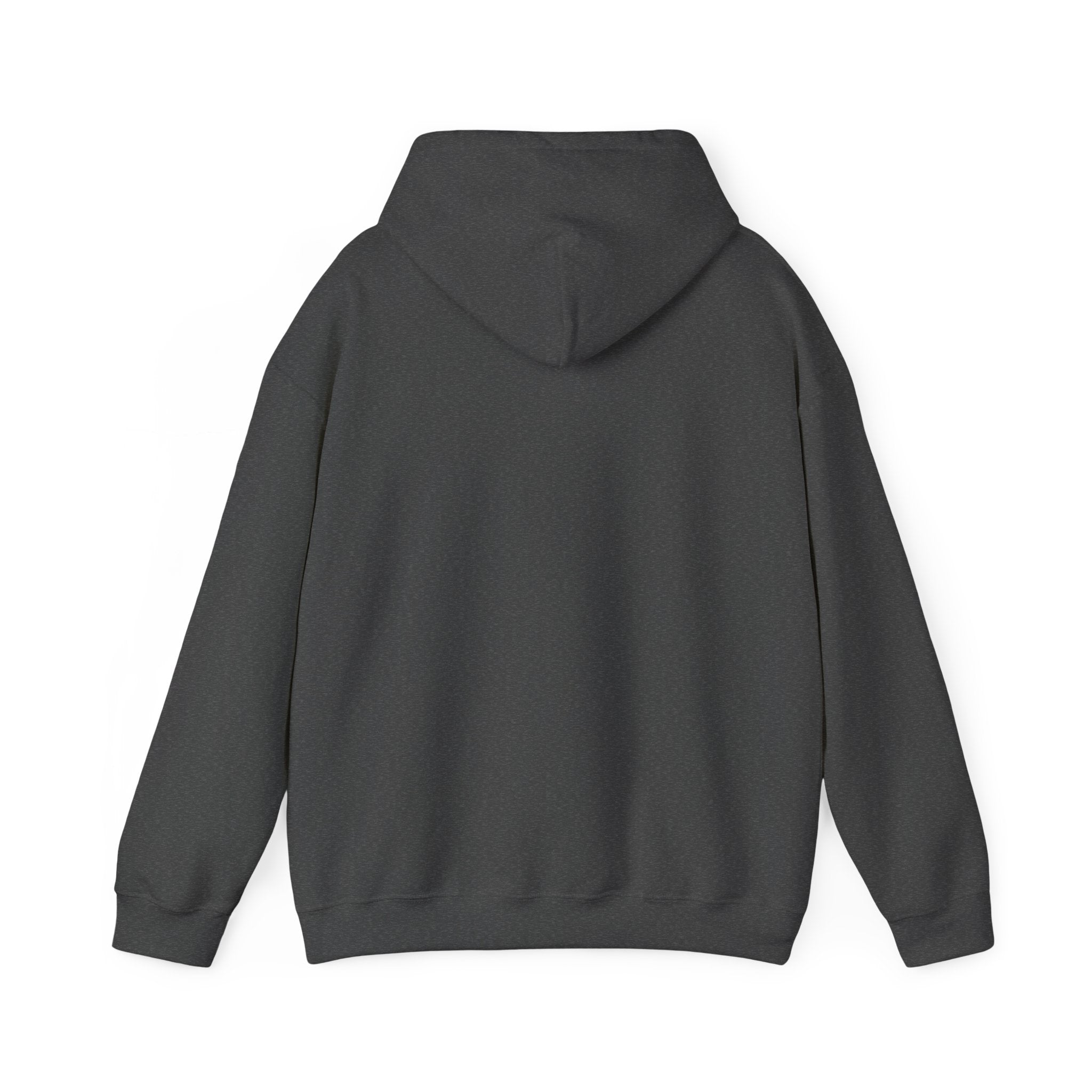 Do Not Disturb Hooded Sweatshirt