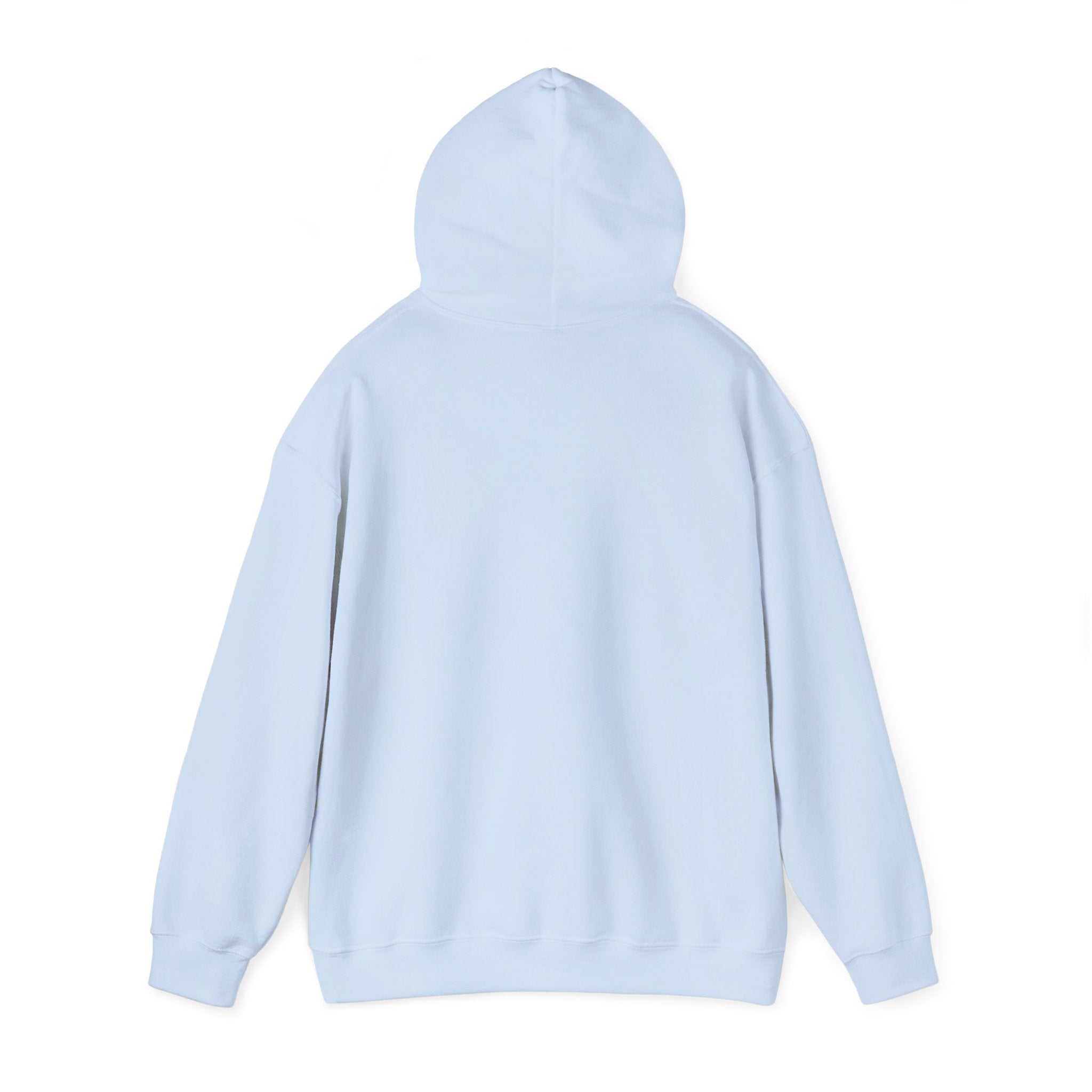 FACTS I don’t care Hooded Sweatshirt