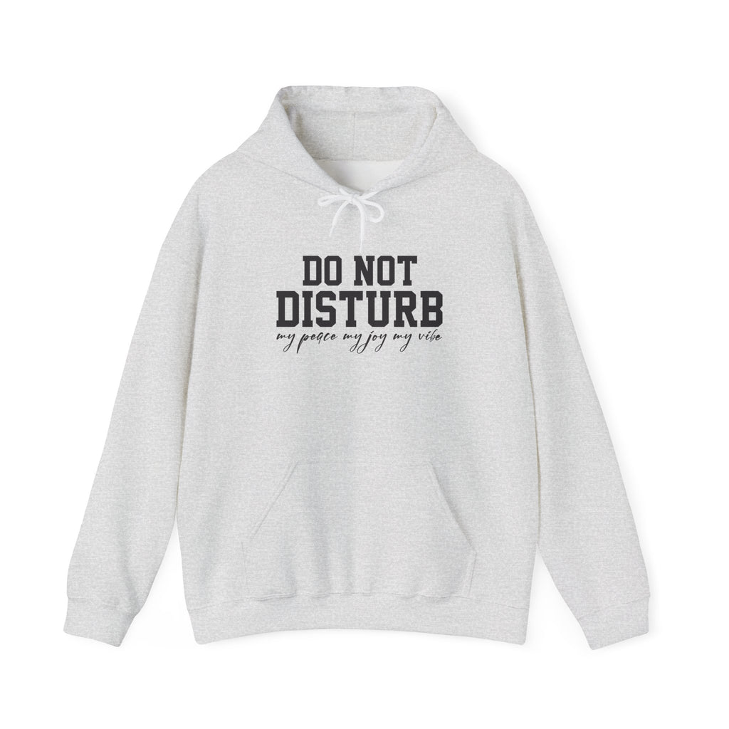 Do Not Disturb Hooded Sweatshirt