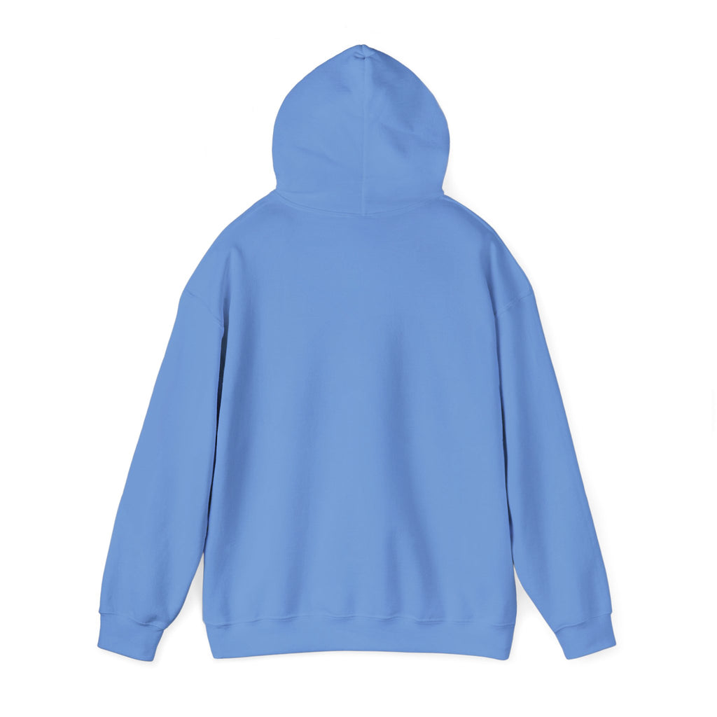 FACTS I don’t care Hooded Sweatshirt