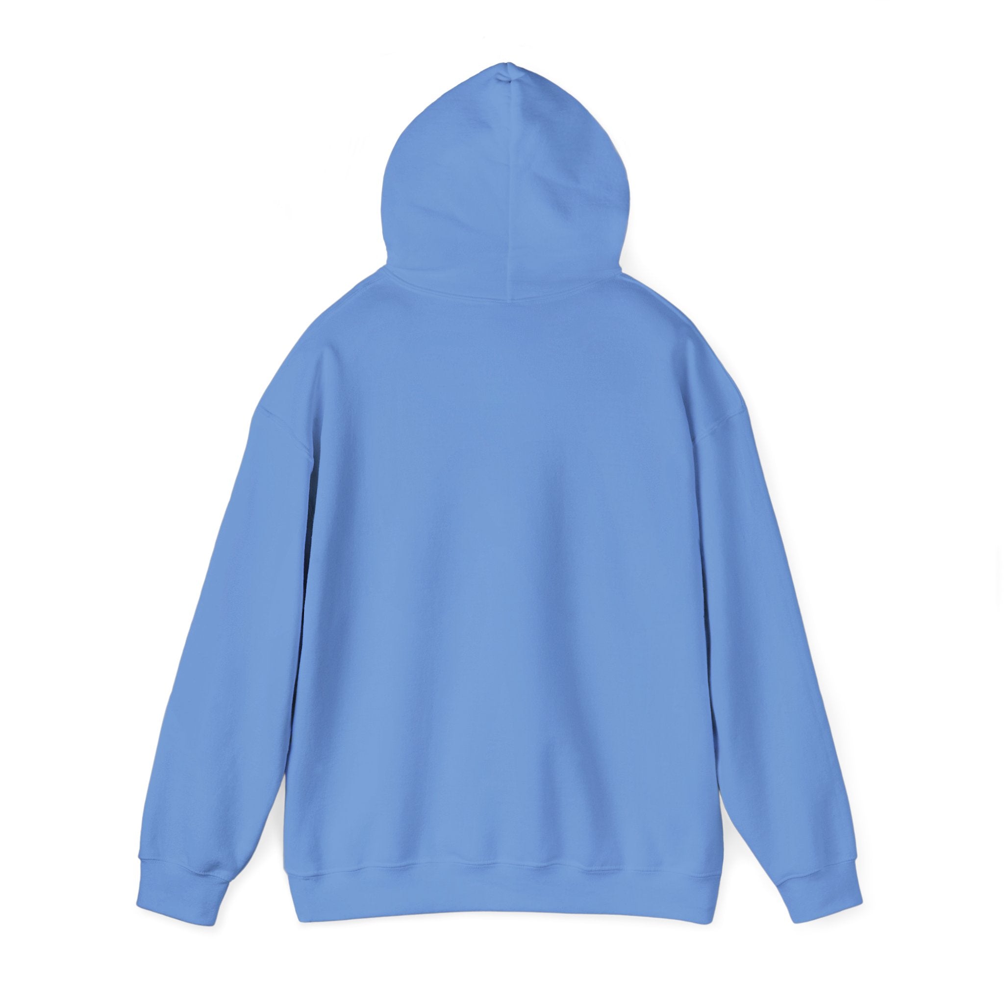 FACTS I don’t care Hooded Sweatshirt