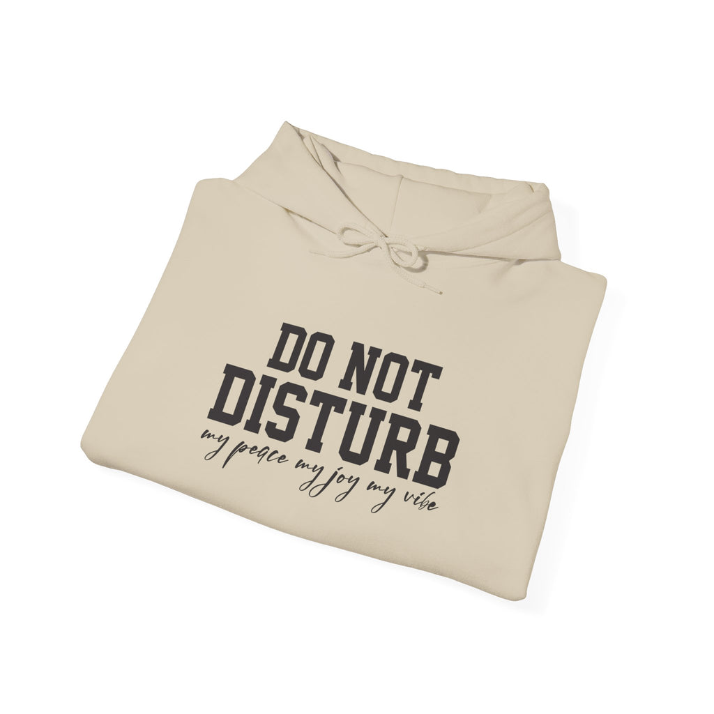 Do Not Disturb Hooded Sweatshirt