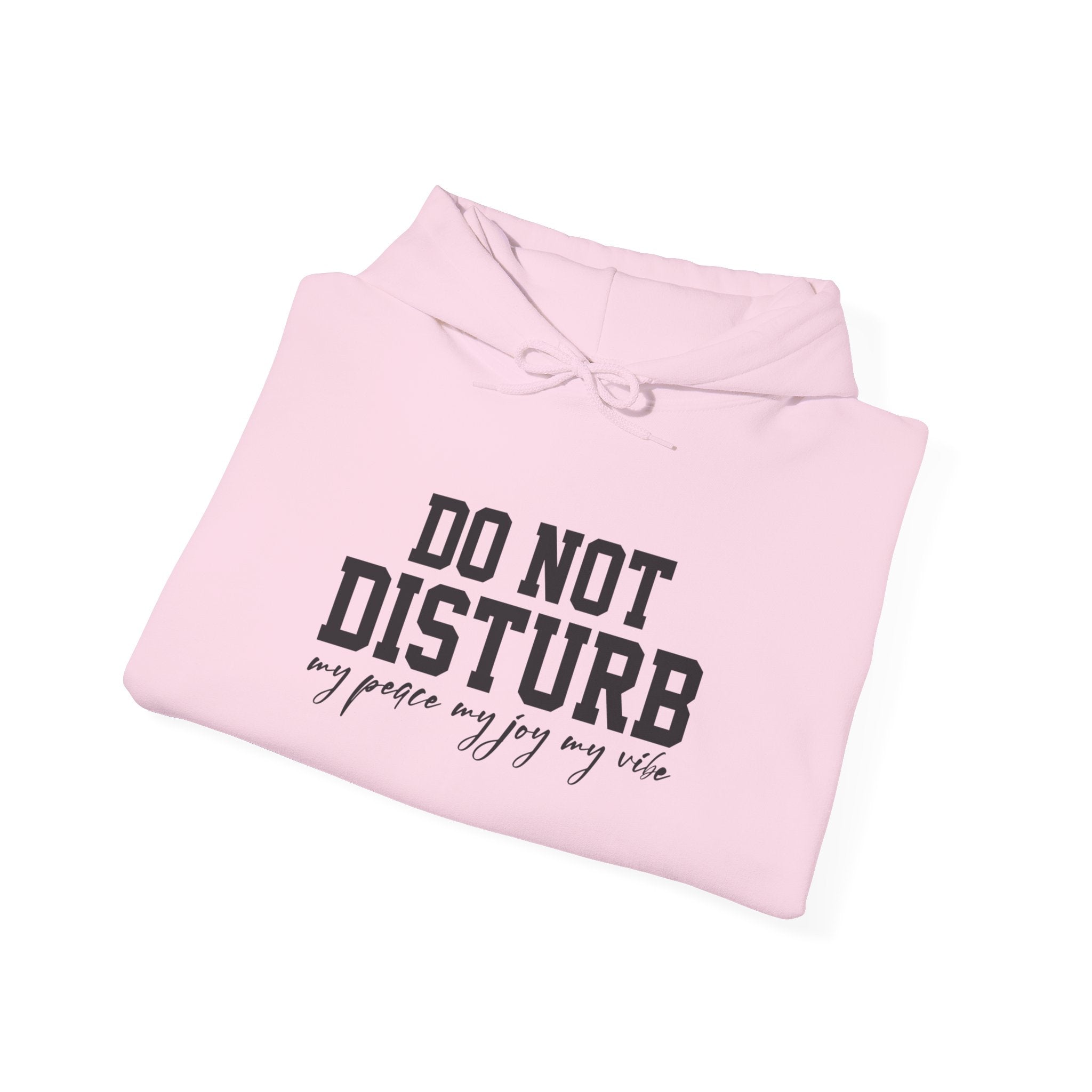 Do Not Disturb Hooded Sweatshirt