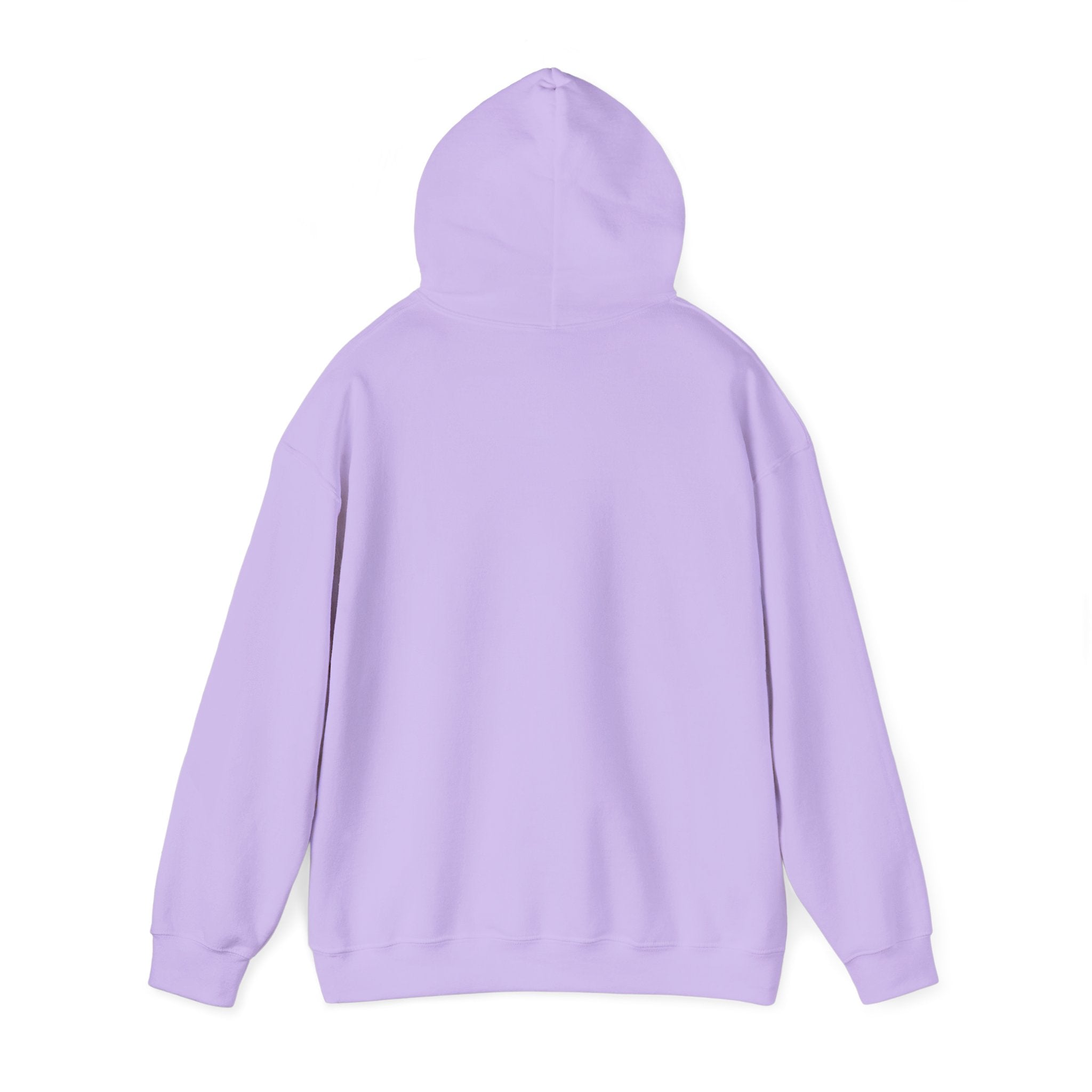 FACTS I don’t care Hooded Sweatshirt