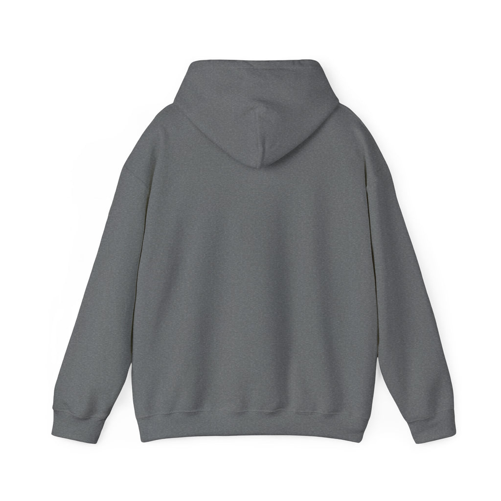 Do Not Disturb Hooded Sweatshirt