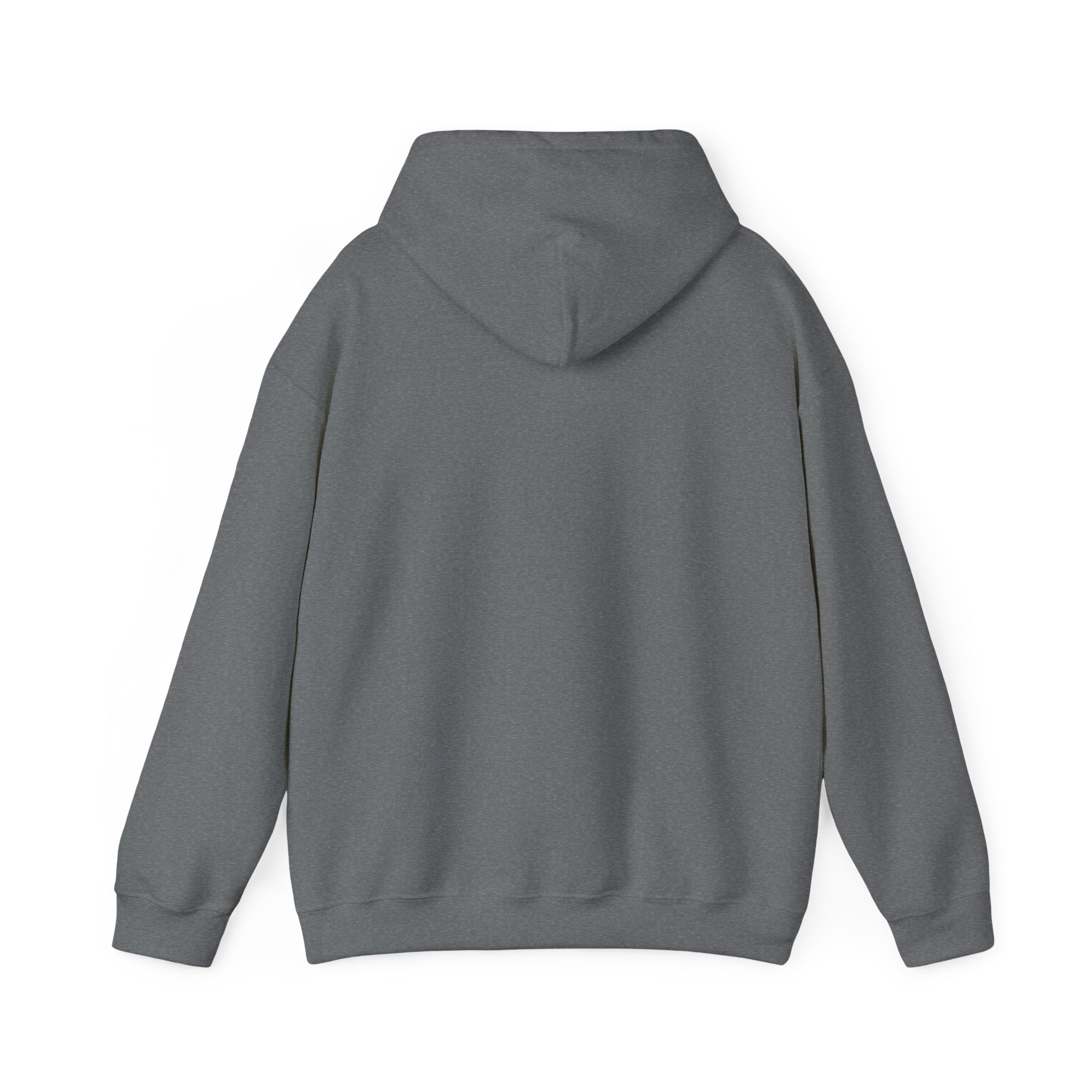 Do Not Disturb Hooded Sweatshirt