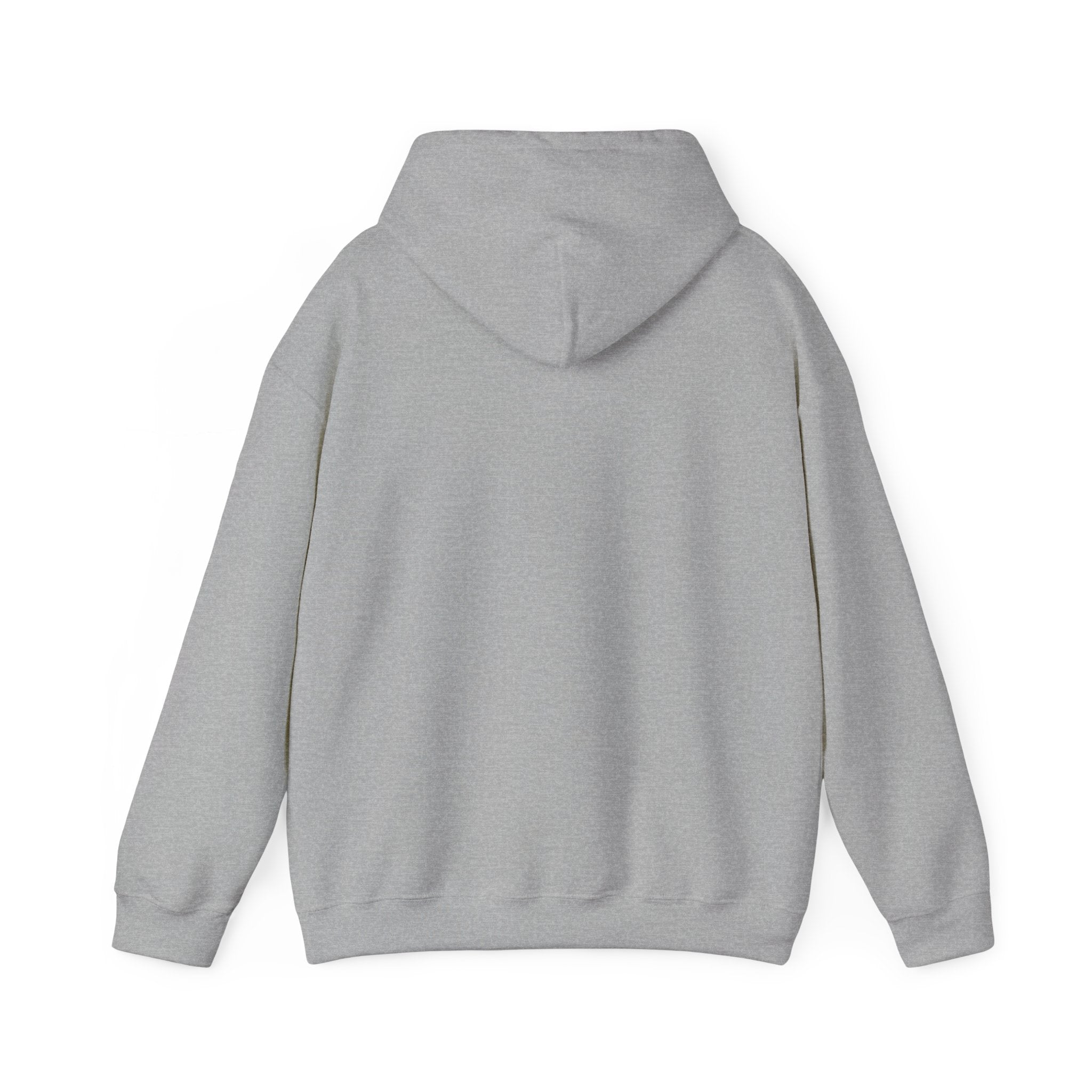 FACTS I don’t care Hooded Sweatshirt