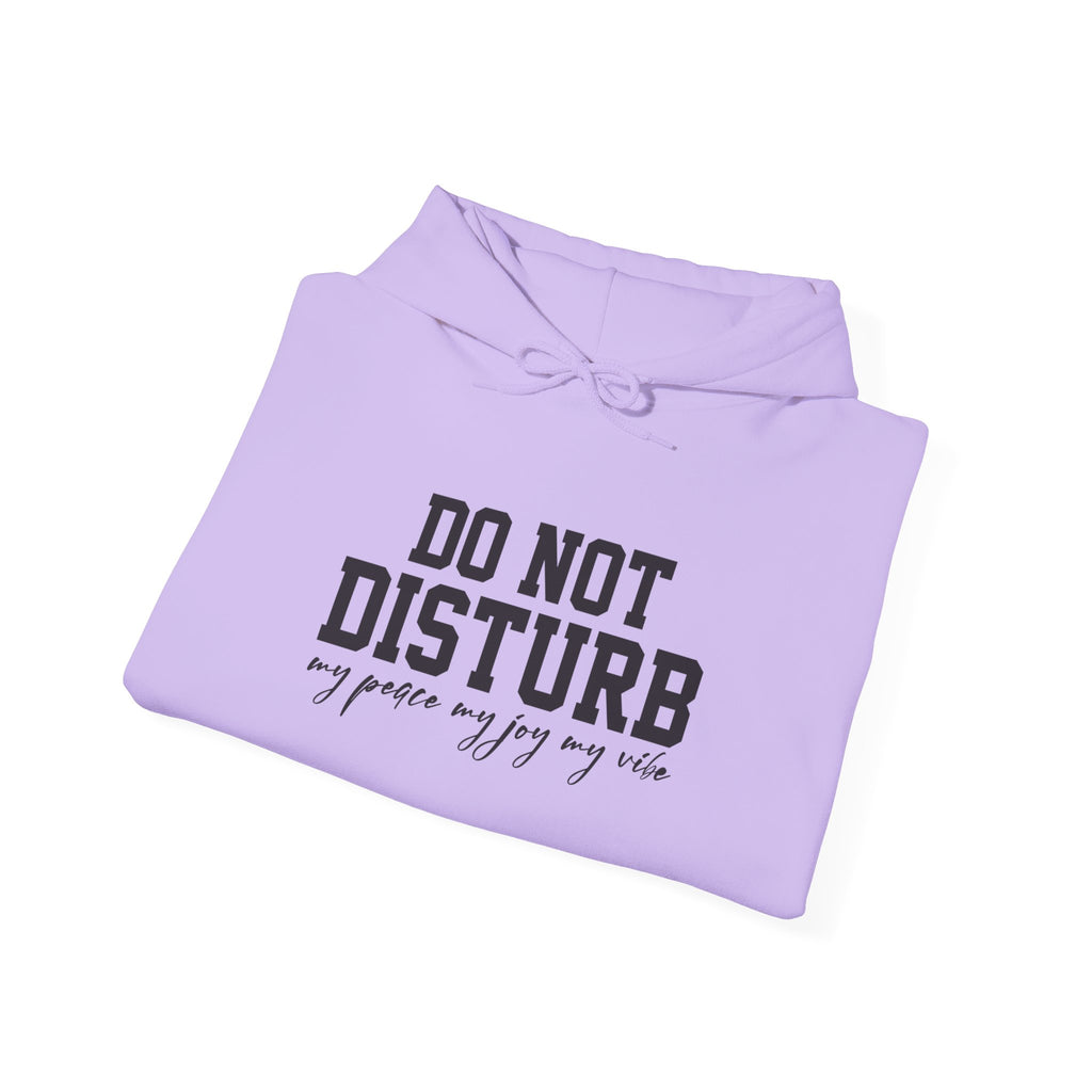 Do Not Disturb Hooded Sweatshirt
