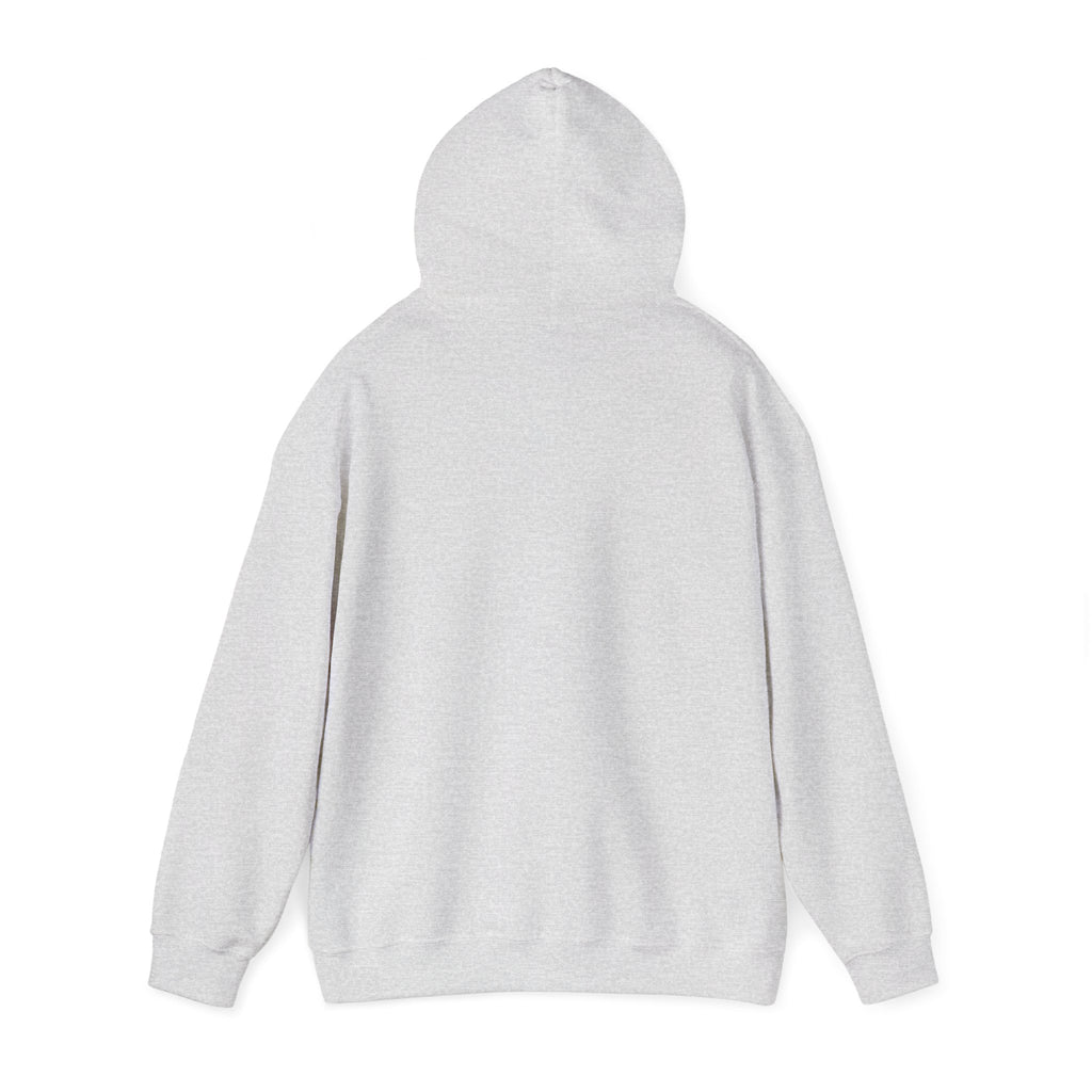 Do Not Disturb Hooded Sweatshirt