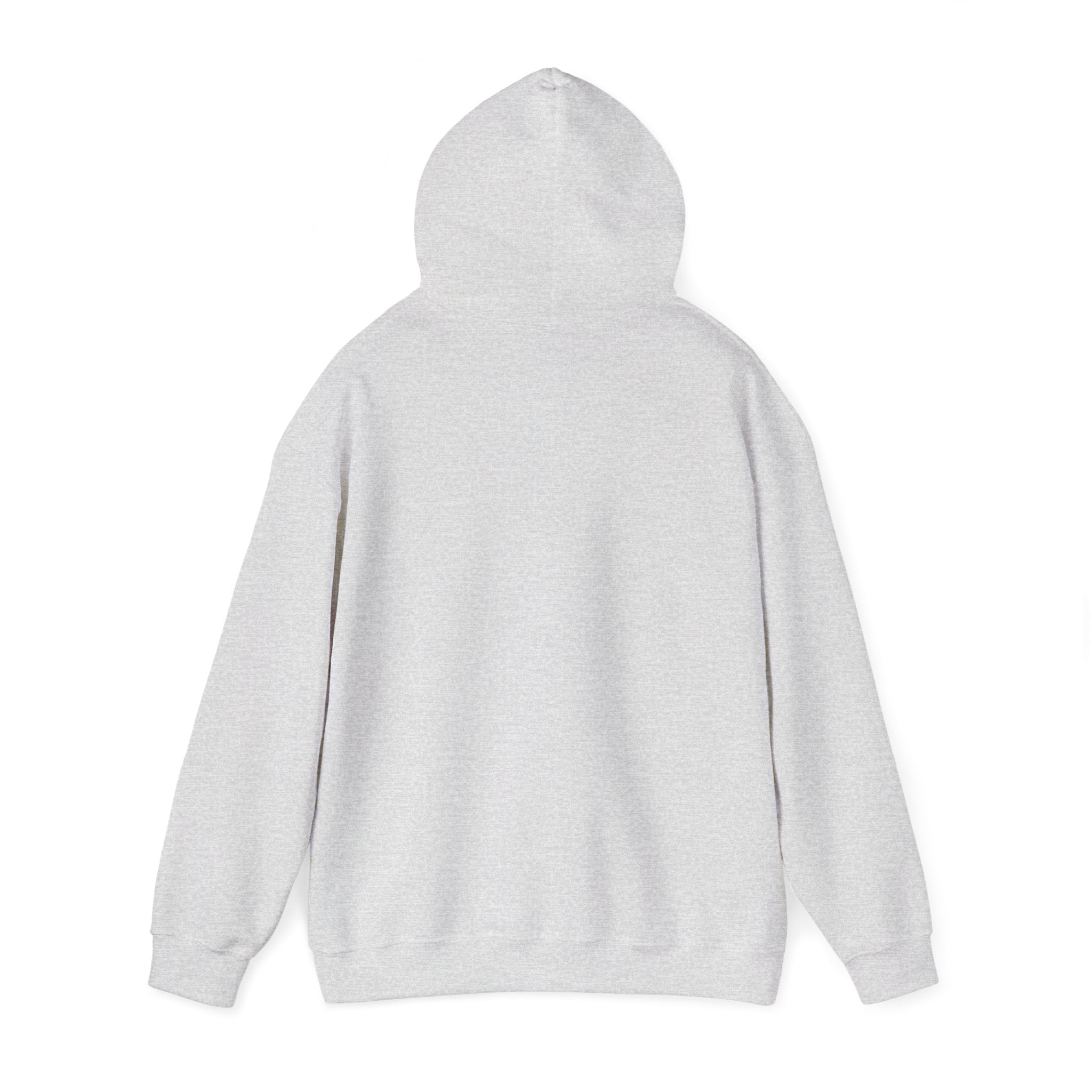Do Not Disturb Hooded Sweatshirt