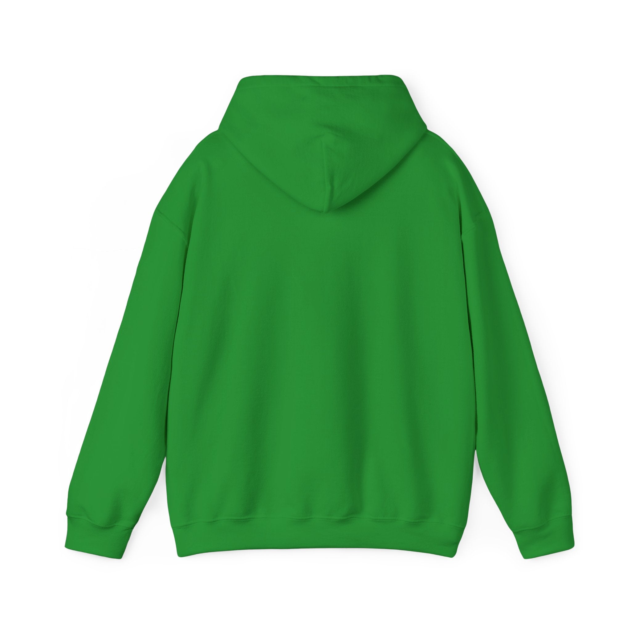Do Not Disturb Hooded Sweatshirt