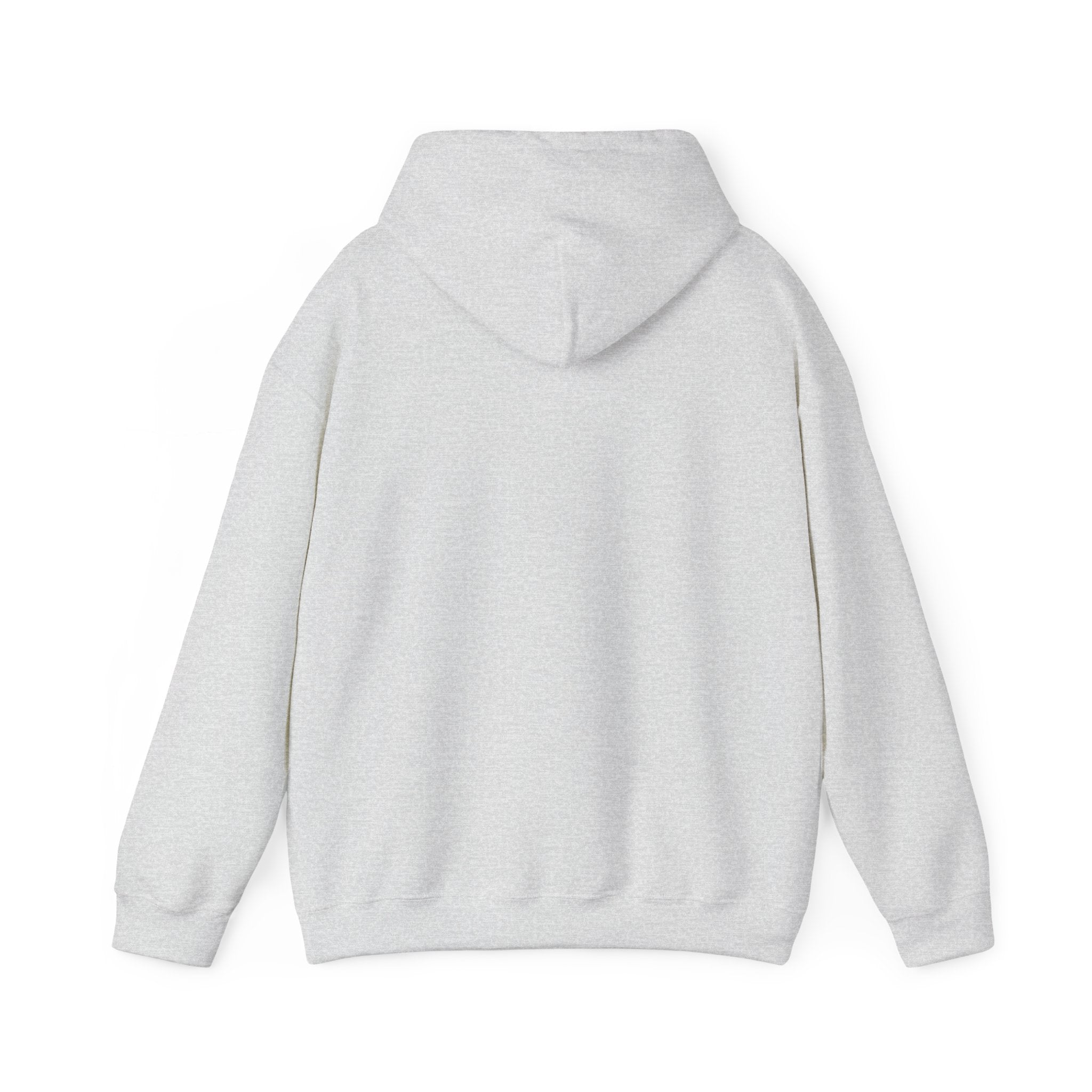 Do Not Disturb Hooded Sweatshirt