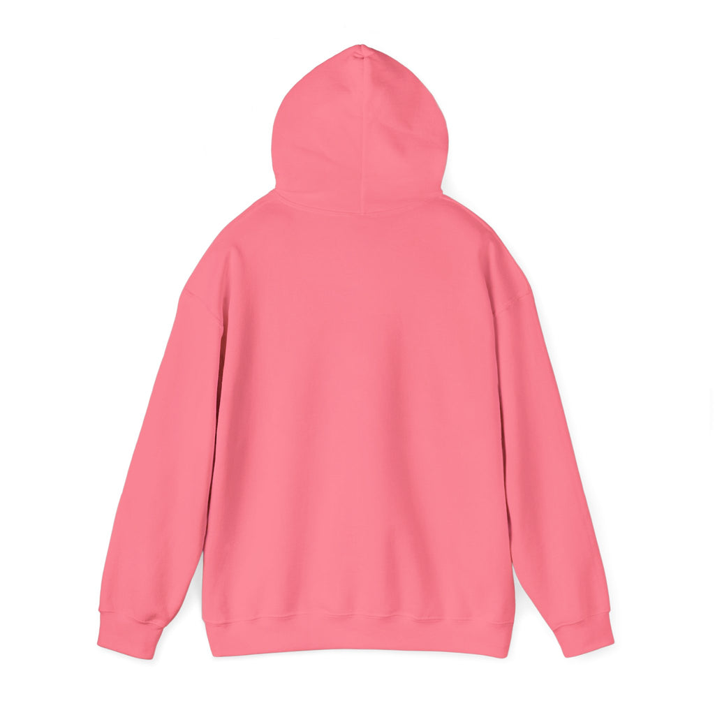 FACTS I don’t care Hooded Sweatshirt
