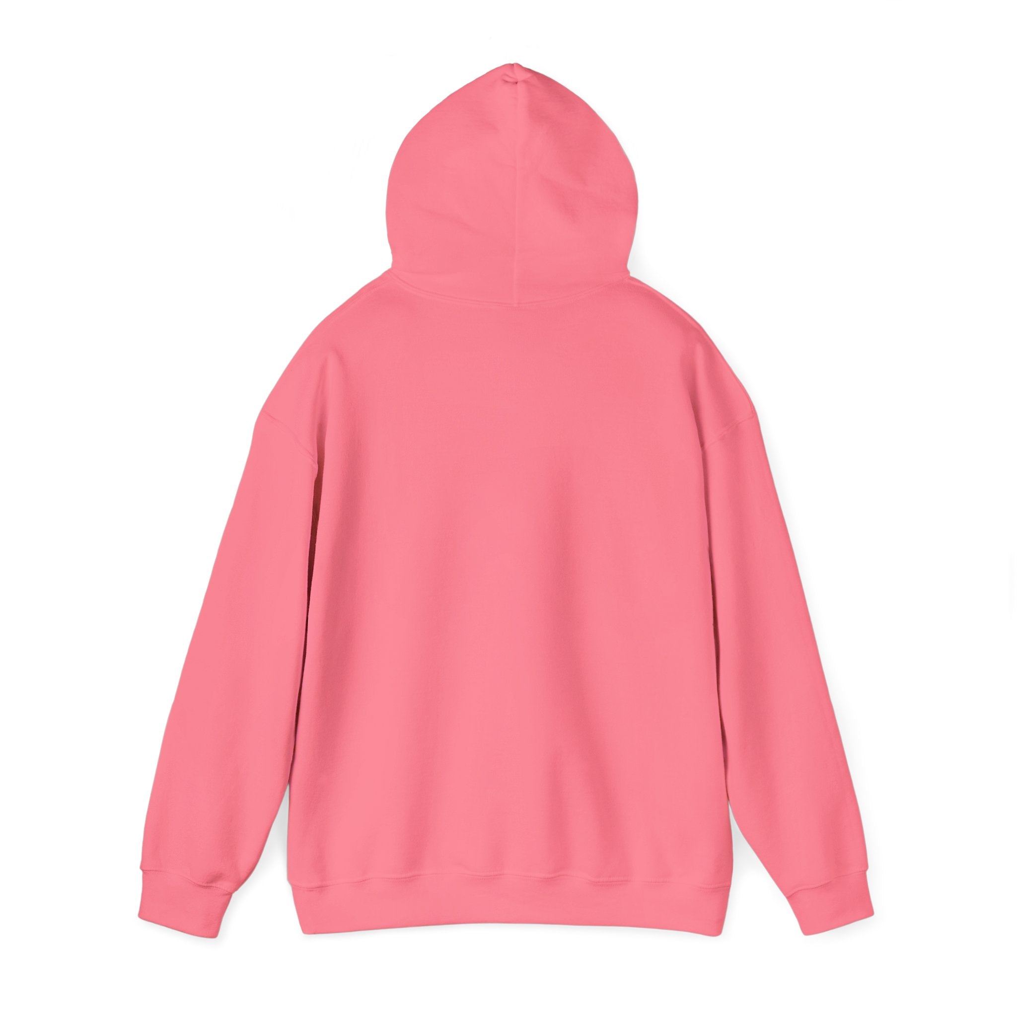 FACTS I don’t care Hooded Sweatshirt