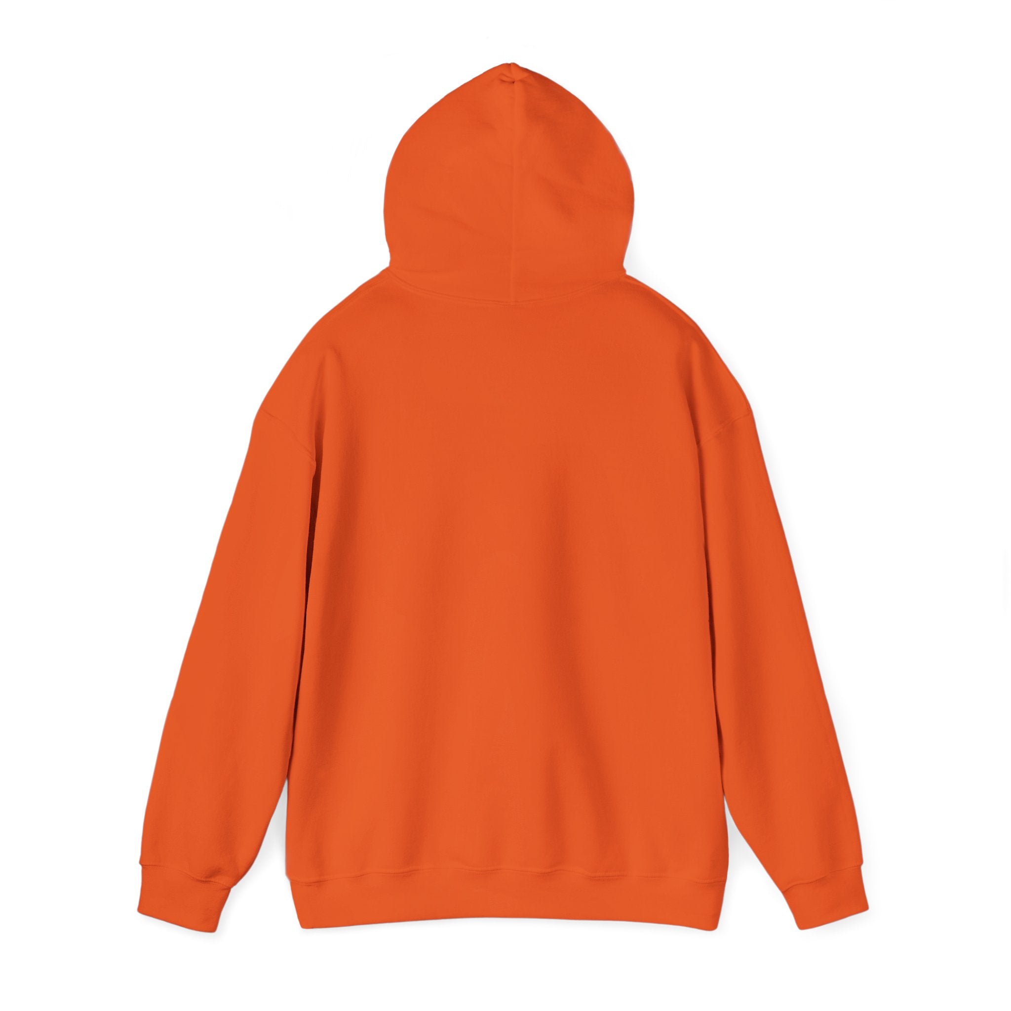 Do Not Disturb Hooded Sweatshirt