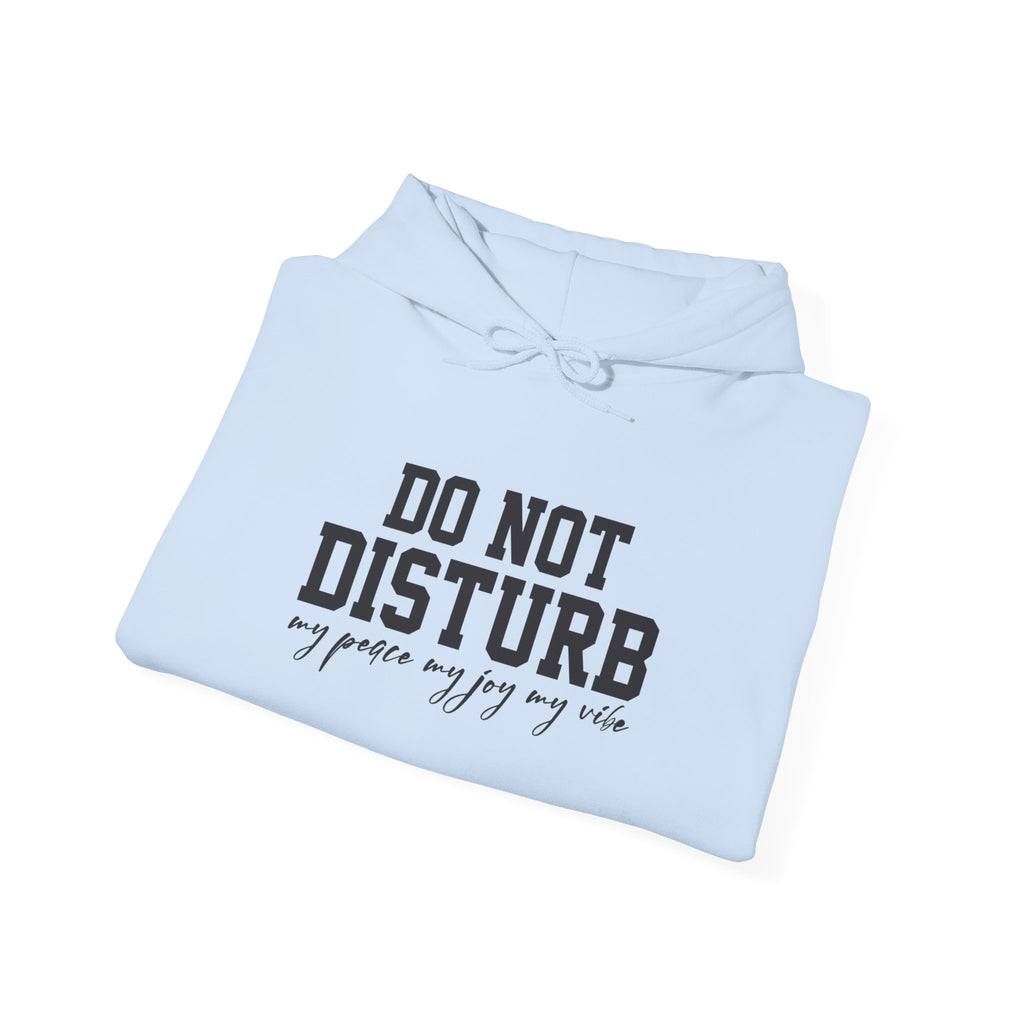 Do Not Disturb Hooded Sweatshirt