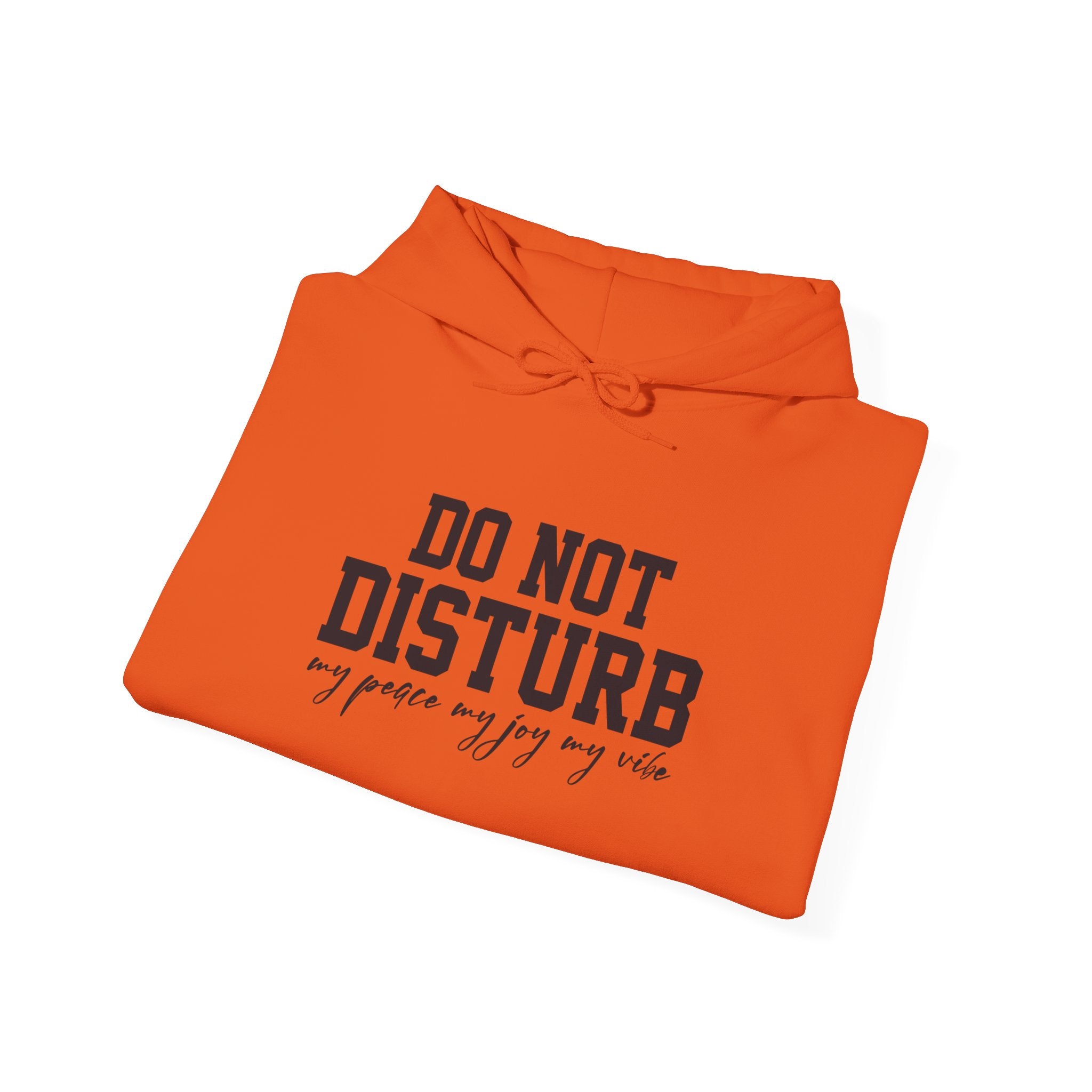 Do Not Disturb Hooded Sweatshirt